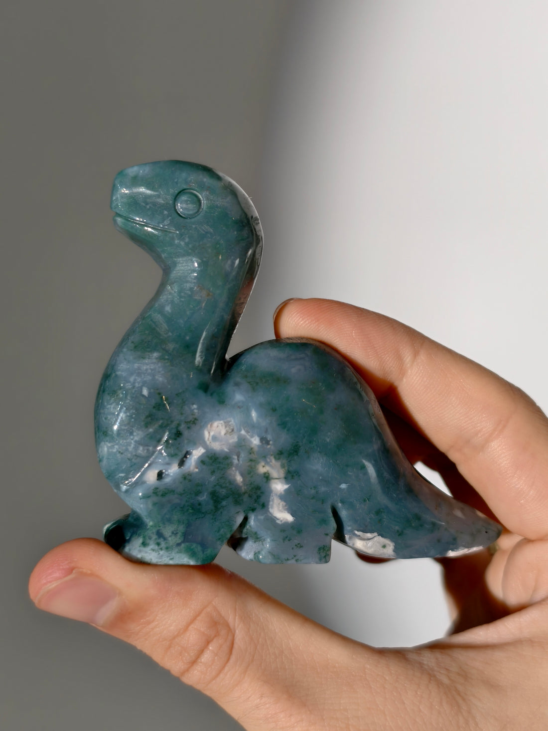 Moosachat Dino 🦕 (Brontosaurus)