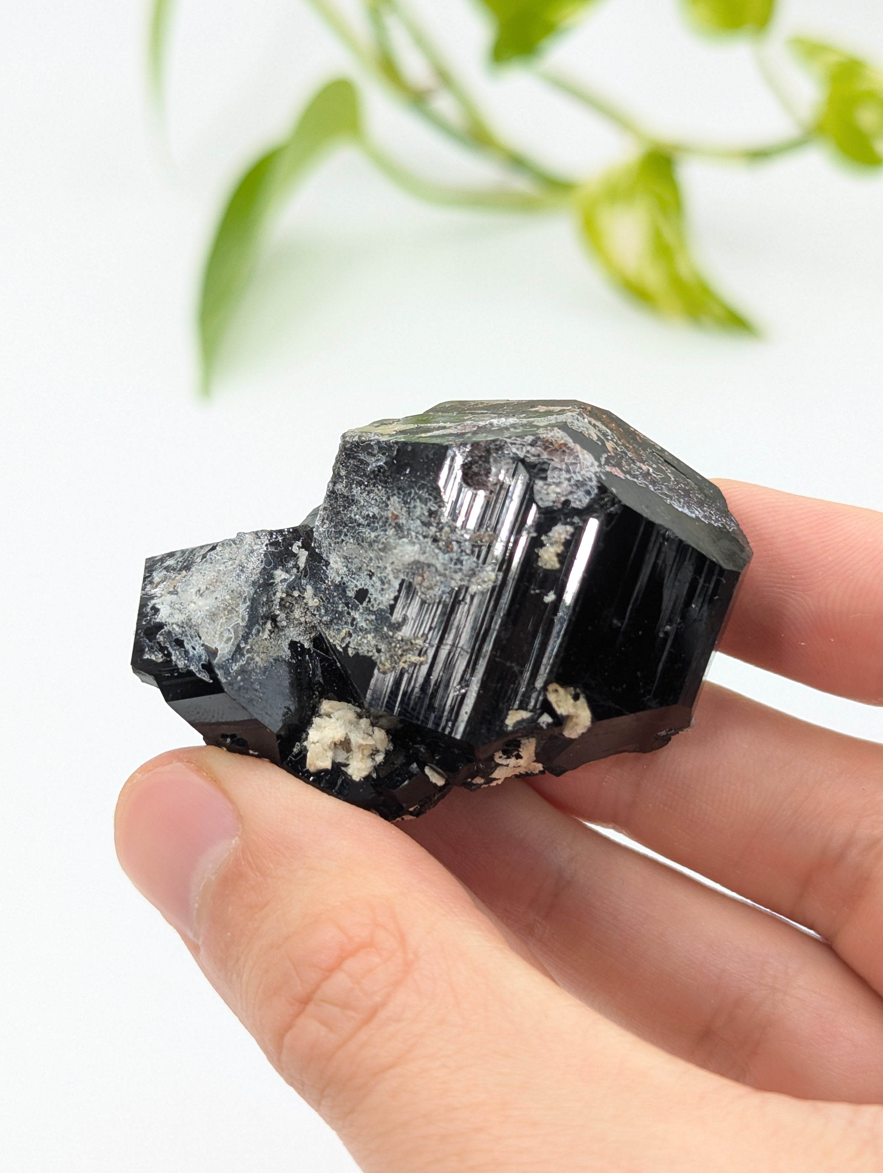 Schwarzer Turmalin (Schörl) aus Erongo IV