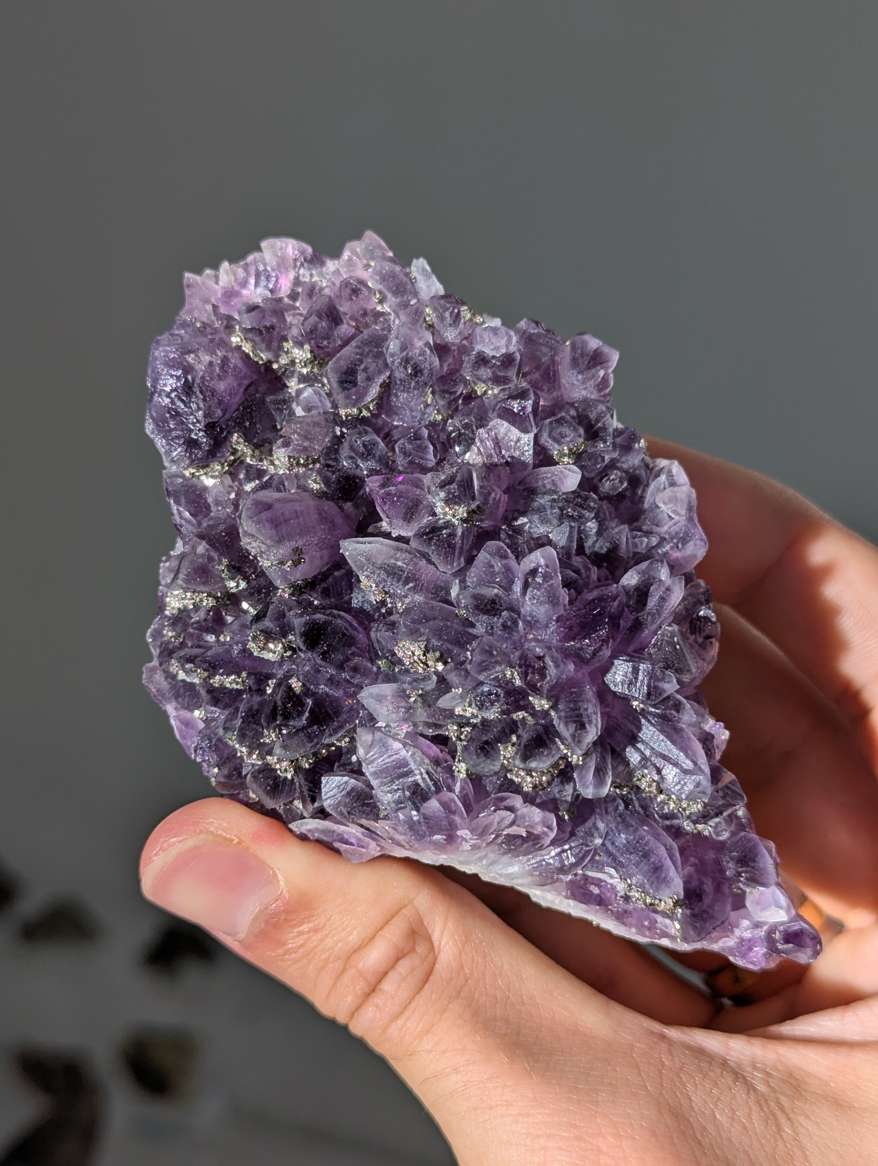 Pyrit auf dunkellila Amethyst aus Bulgarien ✨