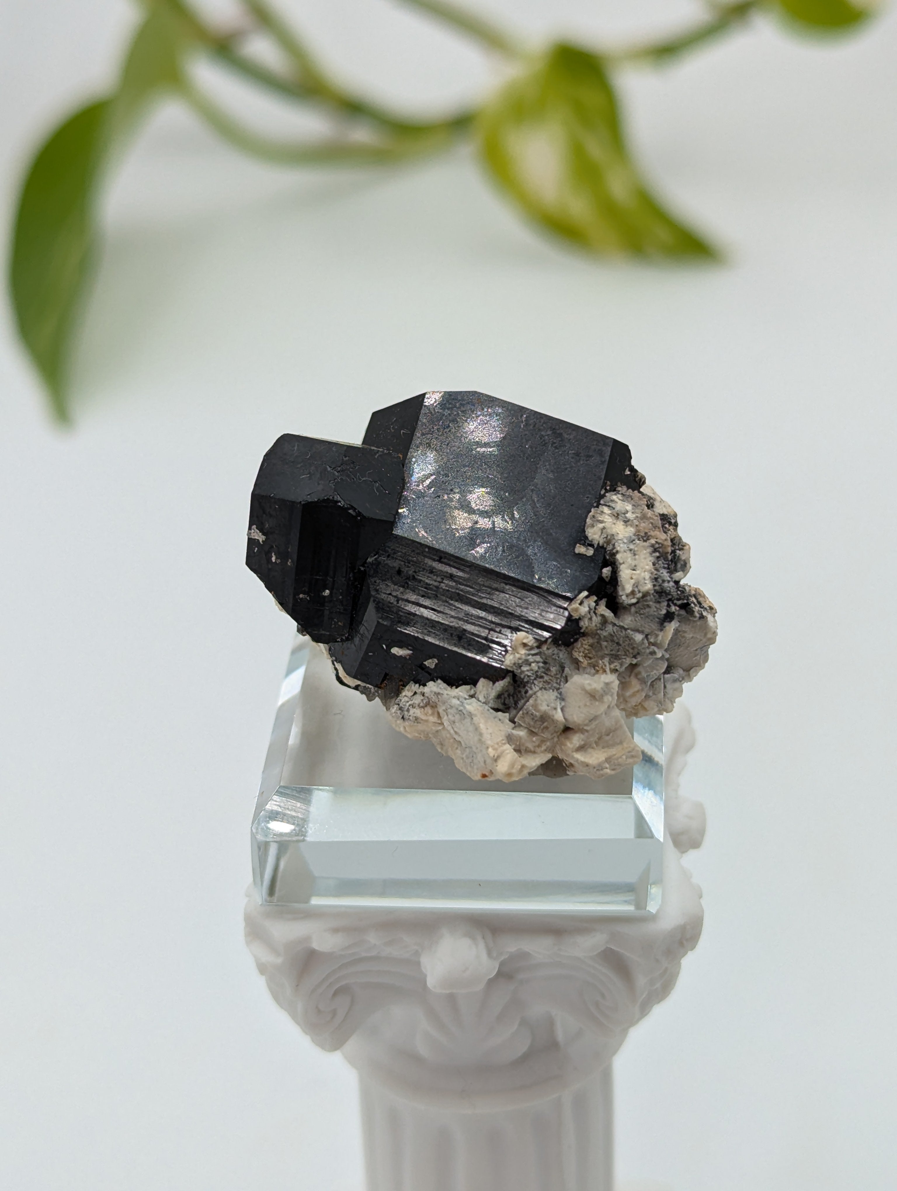 Schwarzer Turmalin (Schörl) aus Erongo III