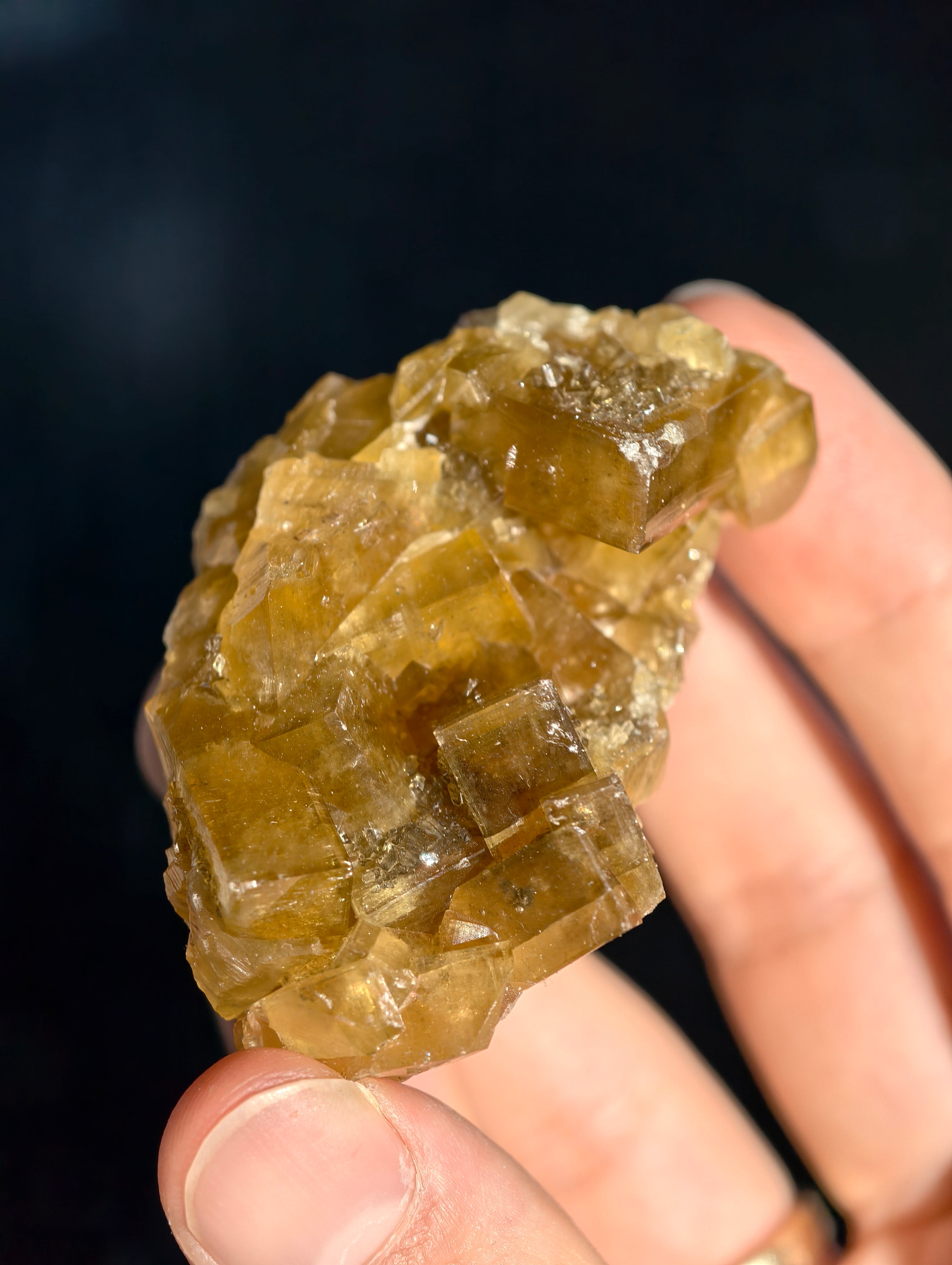 Goldgelber Barit 🍯 aus Jiangxi
