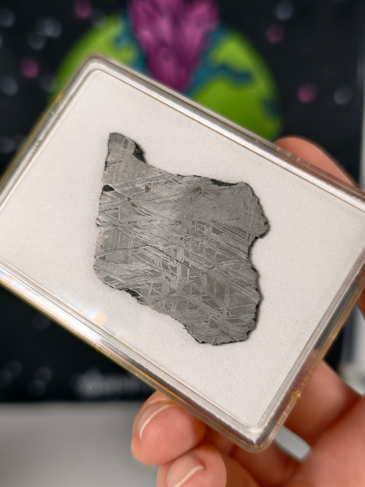 Muonionalusta Meteorit Scheibe 13,86g mit Zertifikat