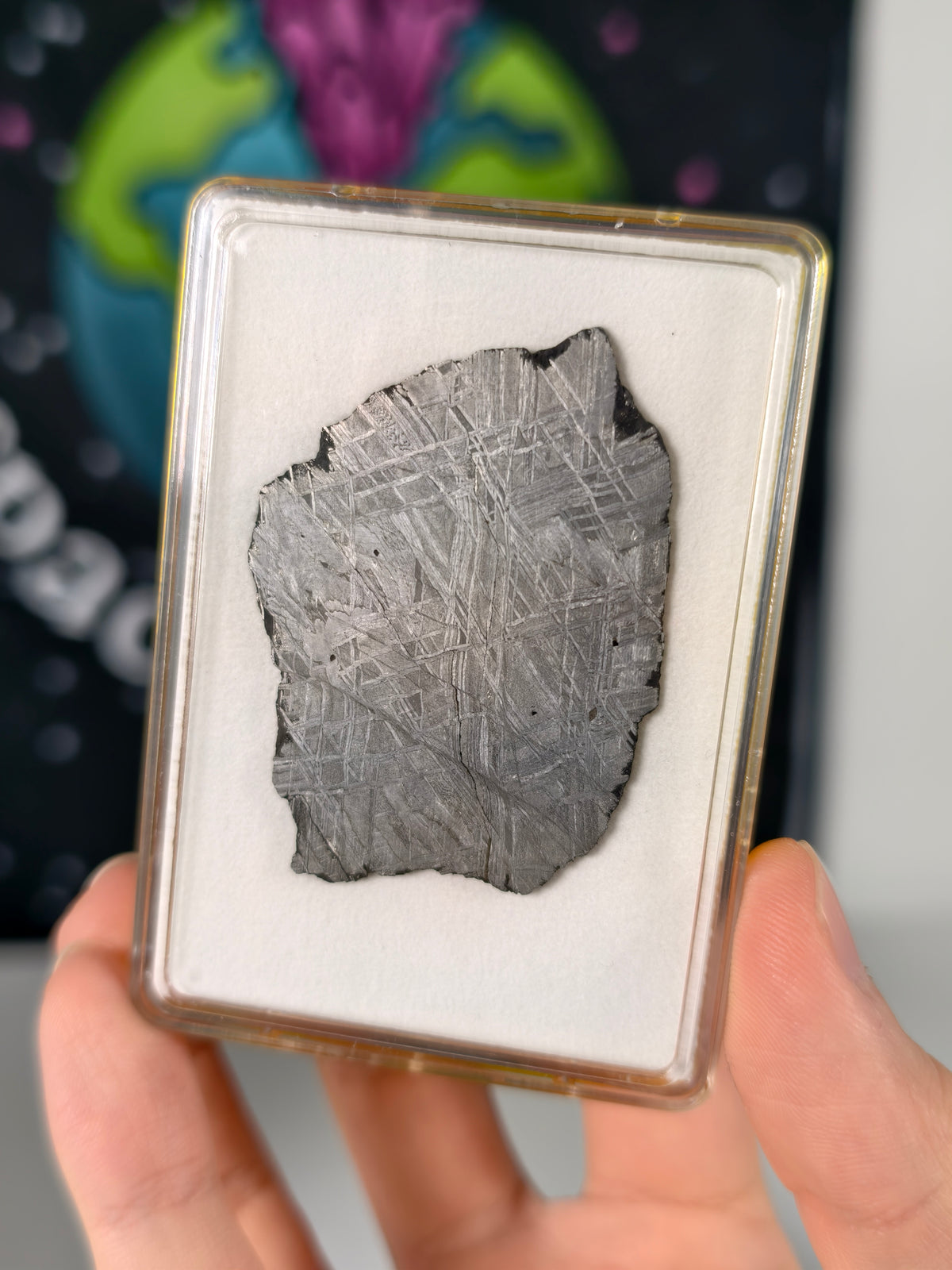 Muonionalusta Meteorit Scheibe 19,15g mit Zertifikat