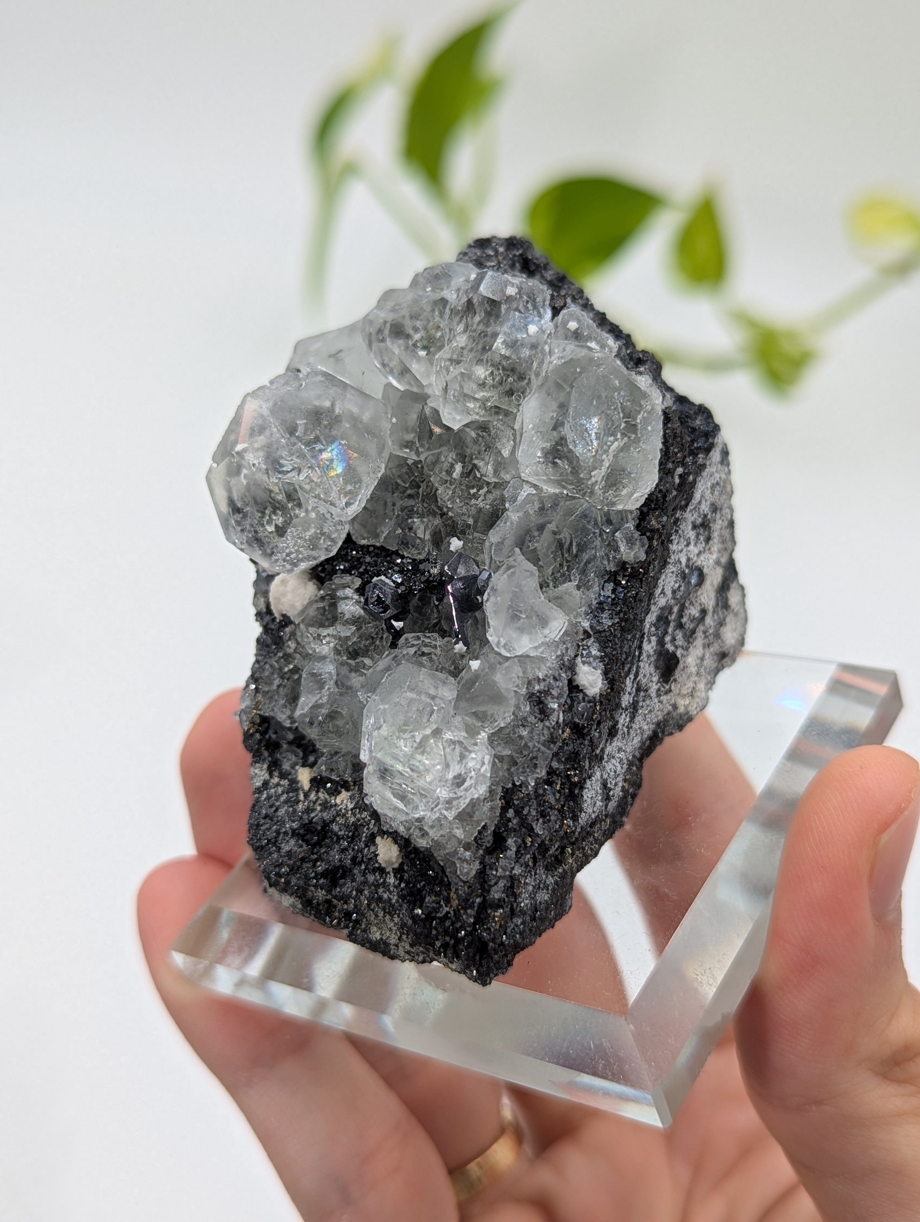 Neuer Fund! Fluorit mit Galenit und Tetraedrit aus Peru