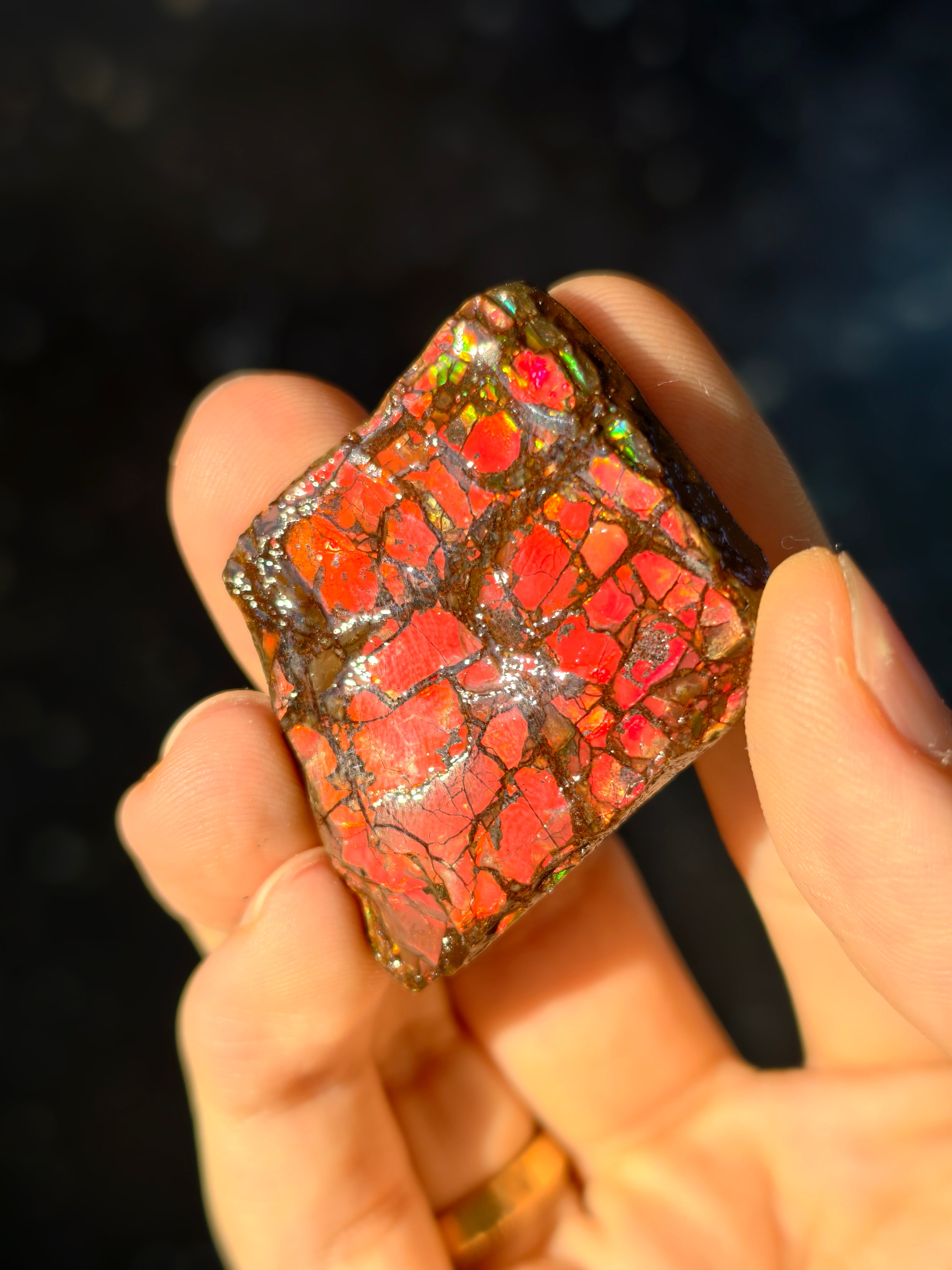 Ammolit Stück aus Kanada