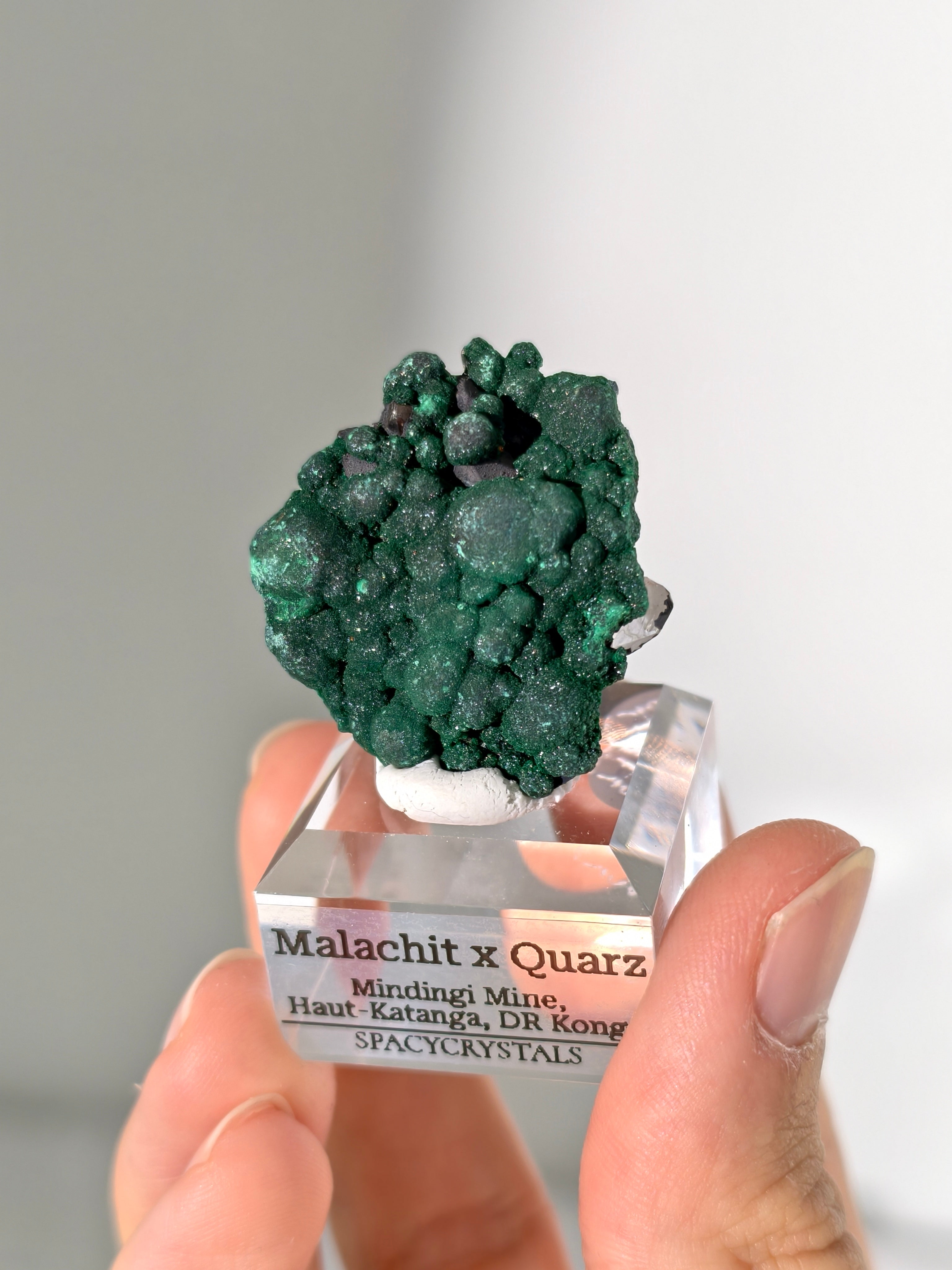 Malachit x Quarz aus der Mindingi Mine, Kongo