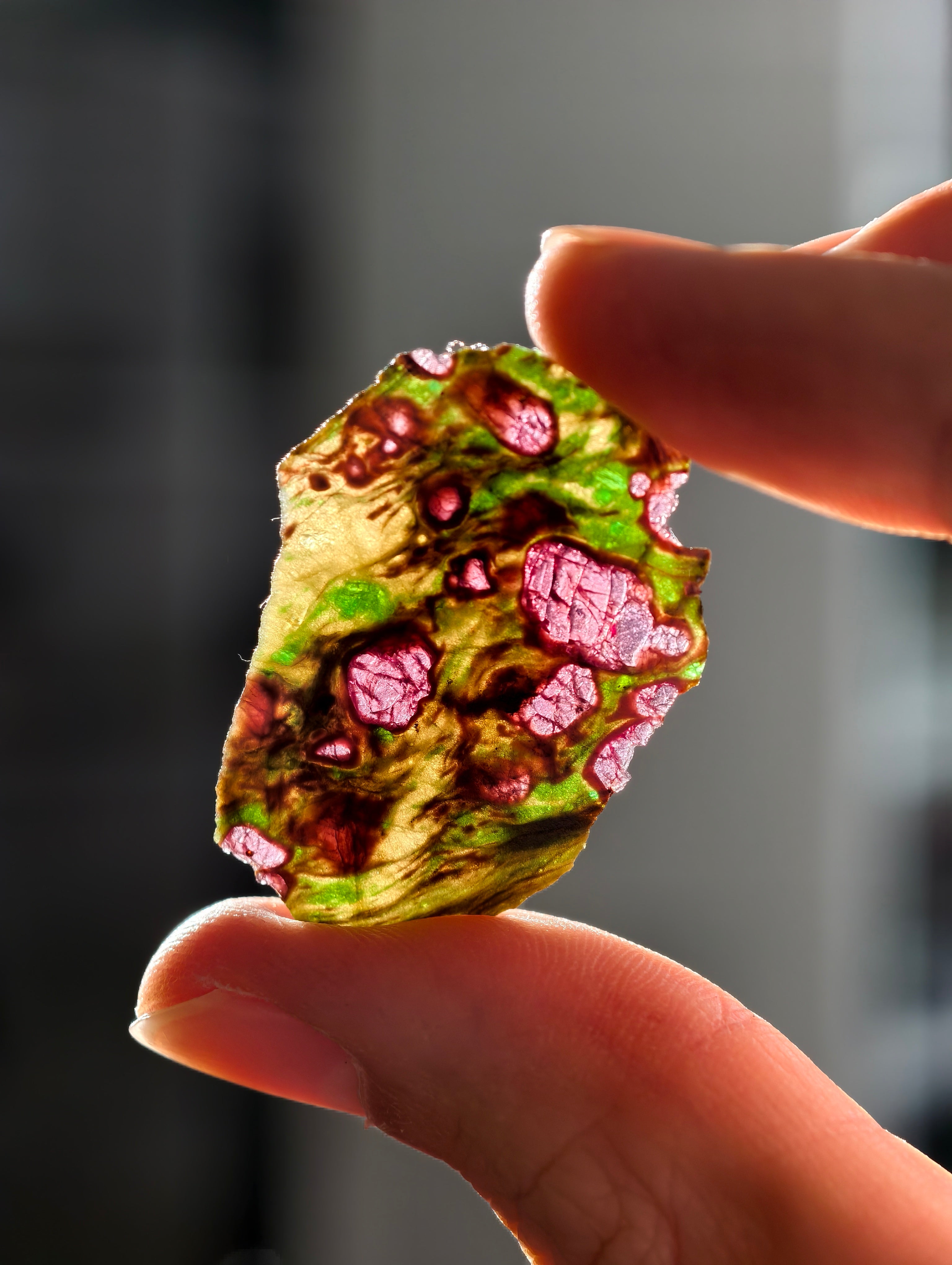 Pyrop, Chromdiopsid, Enstatit Scheibe aus Österreich