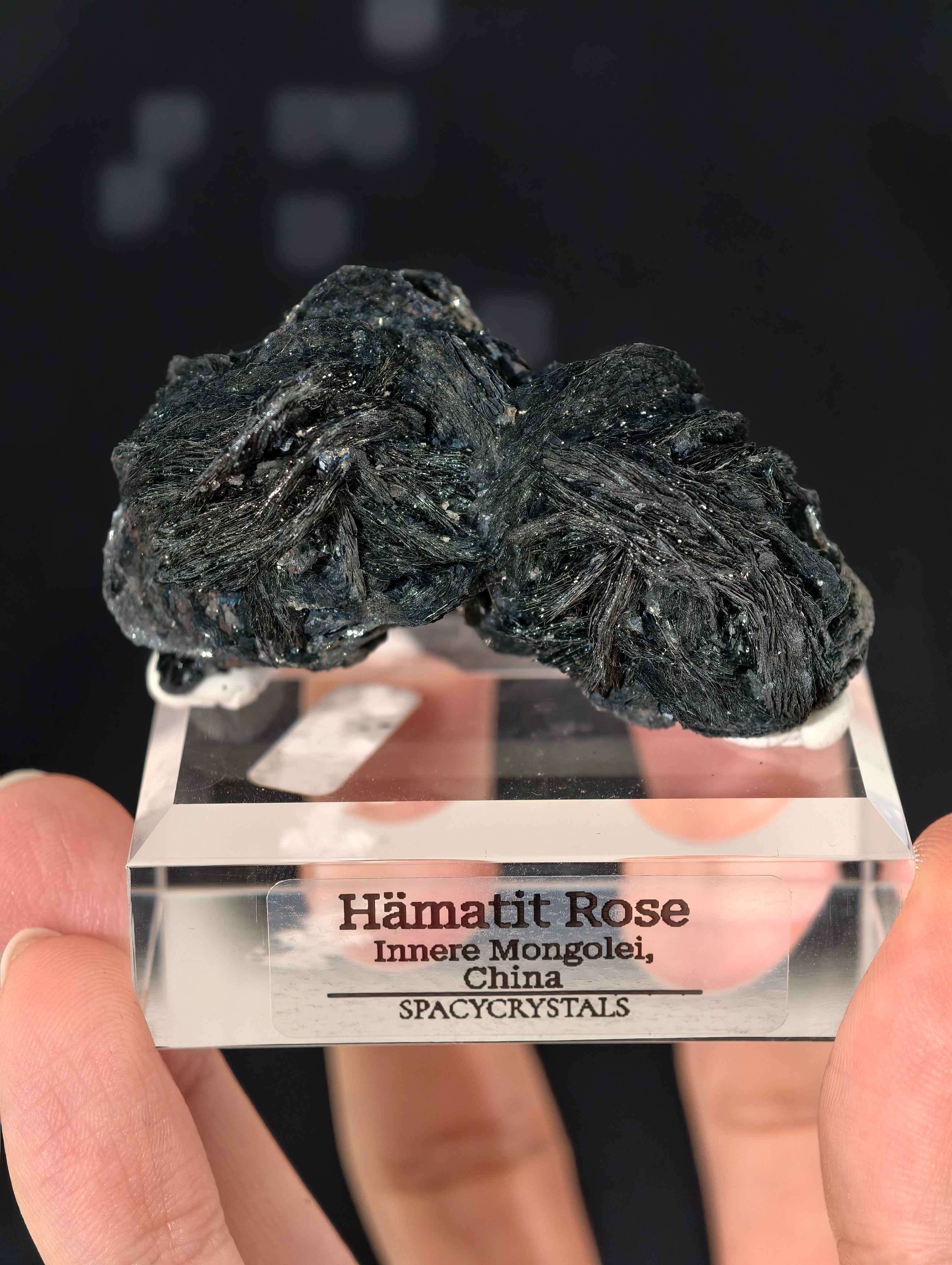 Schwarze Hämatit Rosen, Innere Mongolei, China 🌹