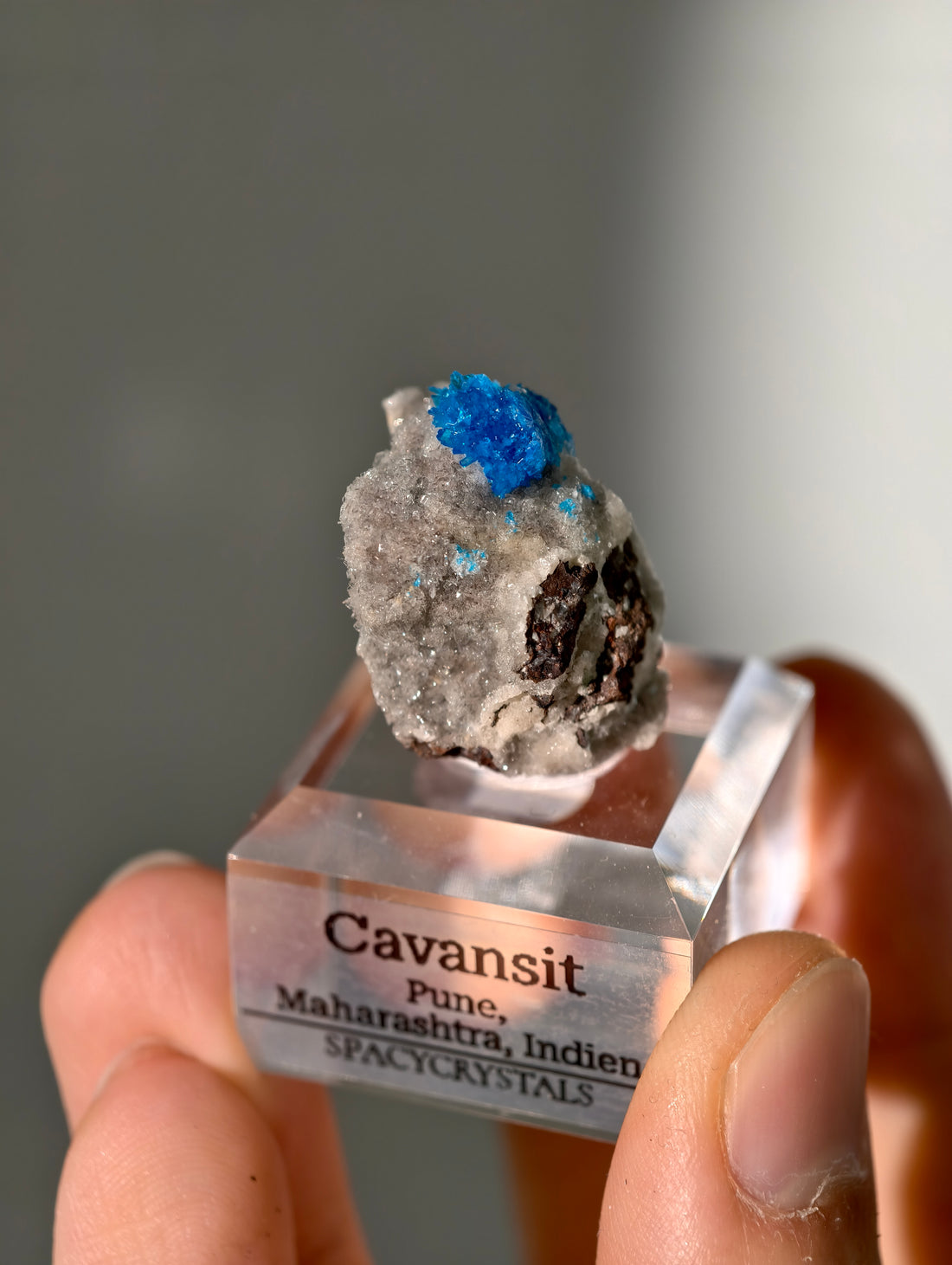Cavansite aus Indien in Matrix