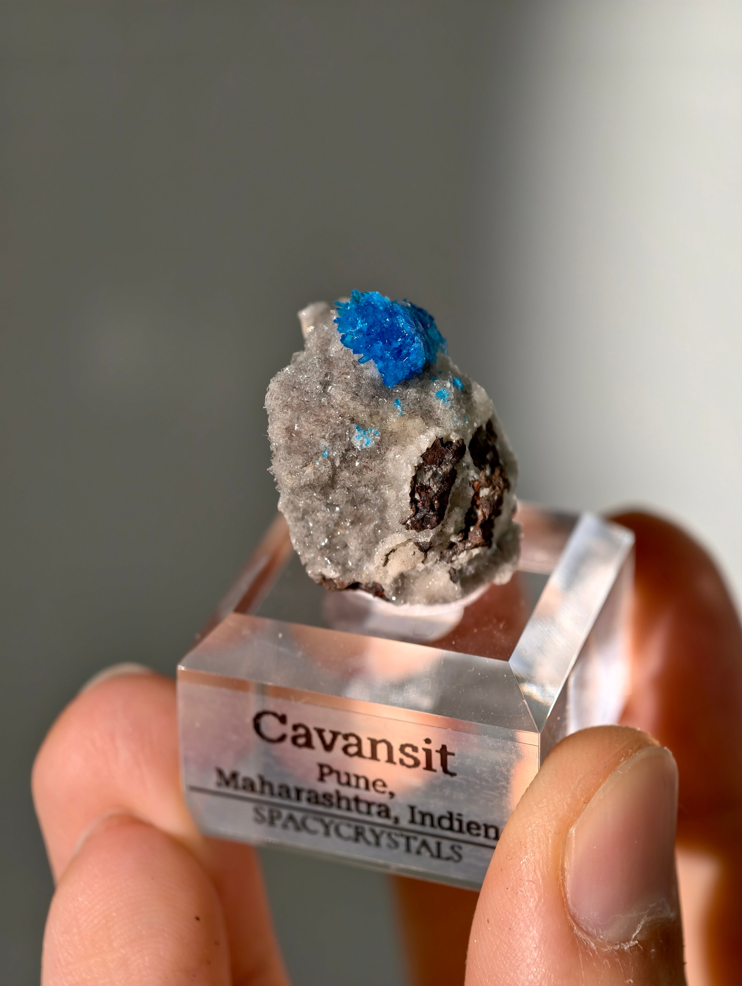 Cavansite aus Indien in Matrix