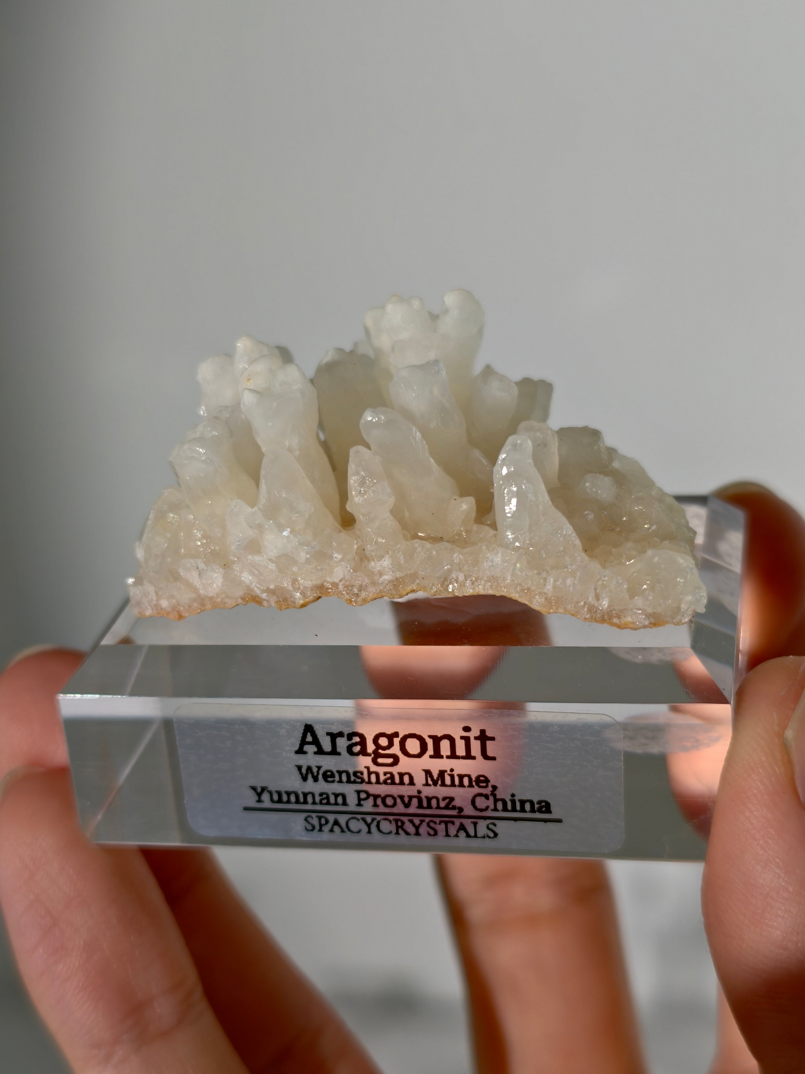 Koralliger Aragonit - Wenshan Mine