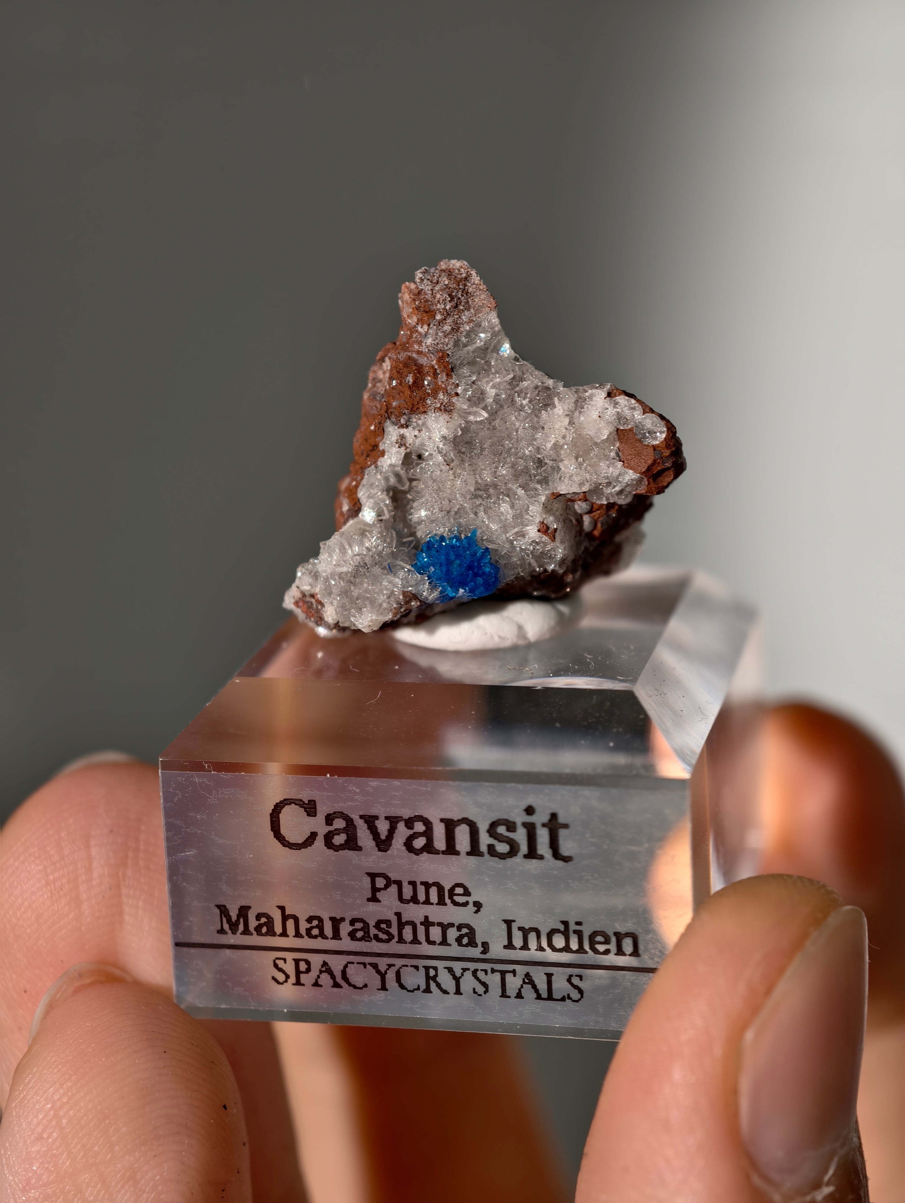 Cavansite aus Indien in Matrix