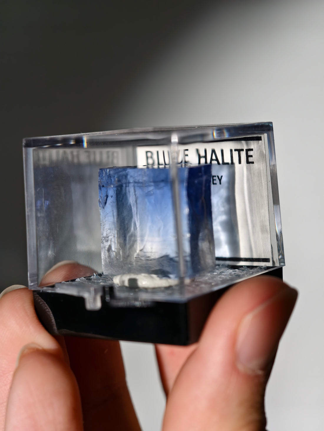 Blauer Halit aus Türkei in Box