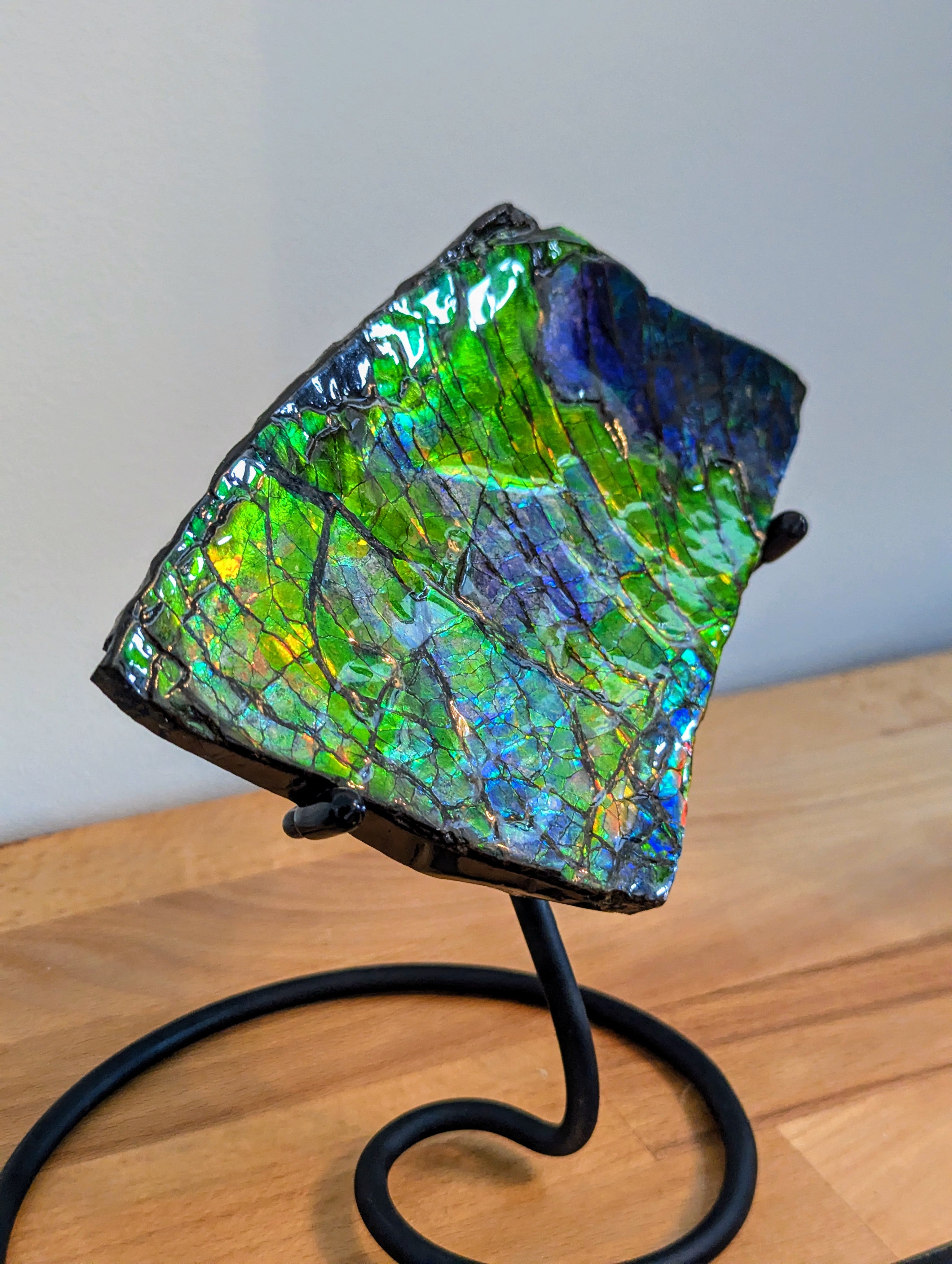 Großer Ammolit auf Ständer mit Farbwechsel aus Kanada