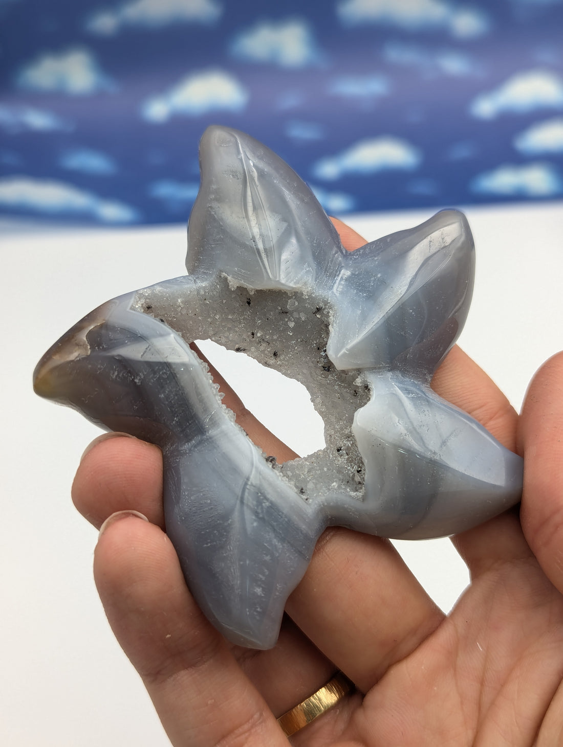 Achat Seestern mit Kristall Druse