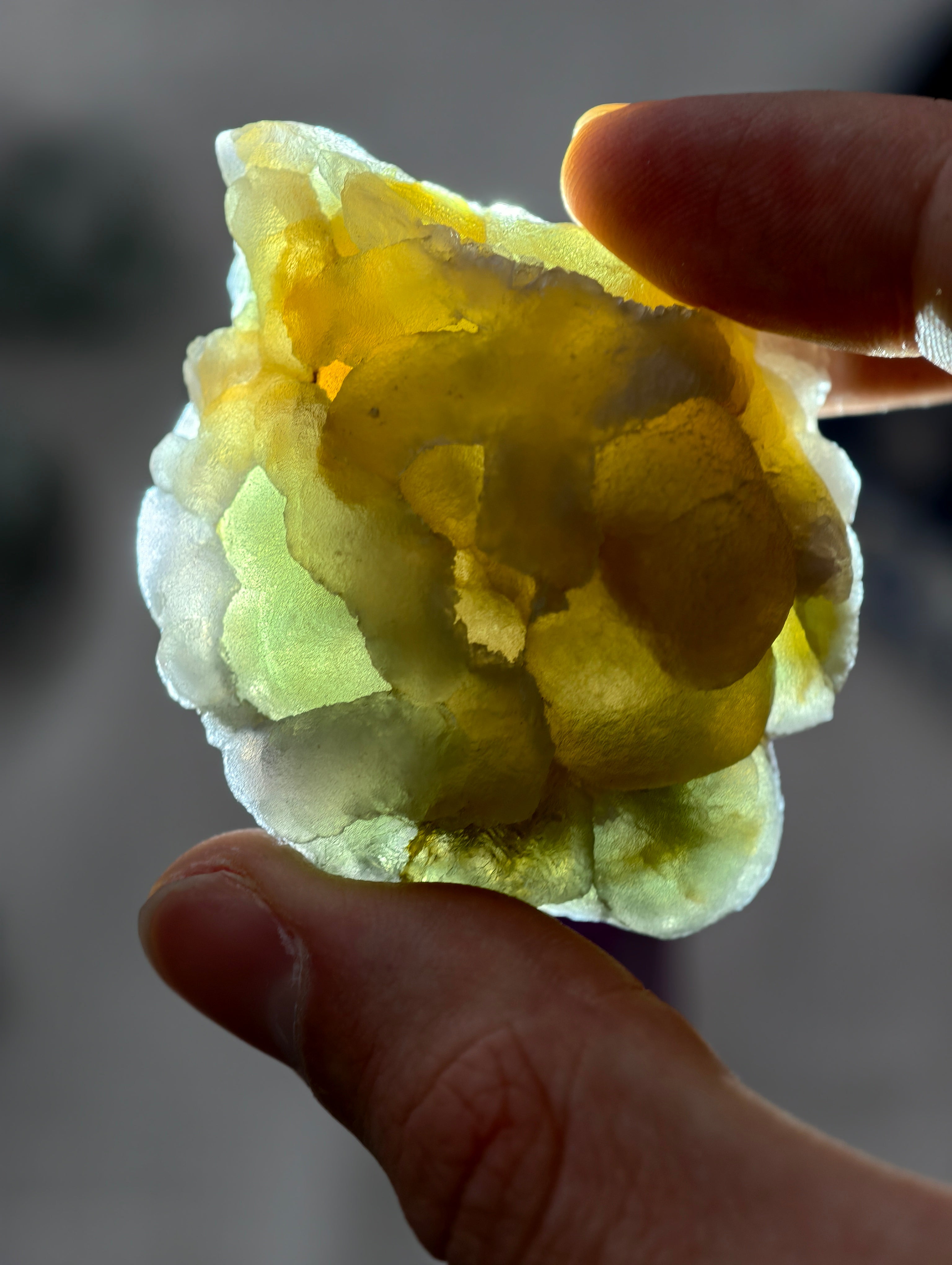 Botryoidaler grün & lila Fluorit (besonders & UV Aktiv, siehe Fotos)