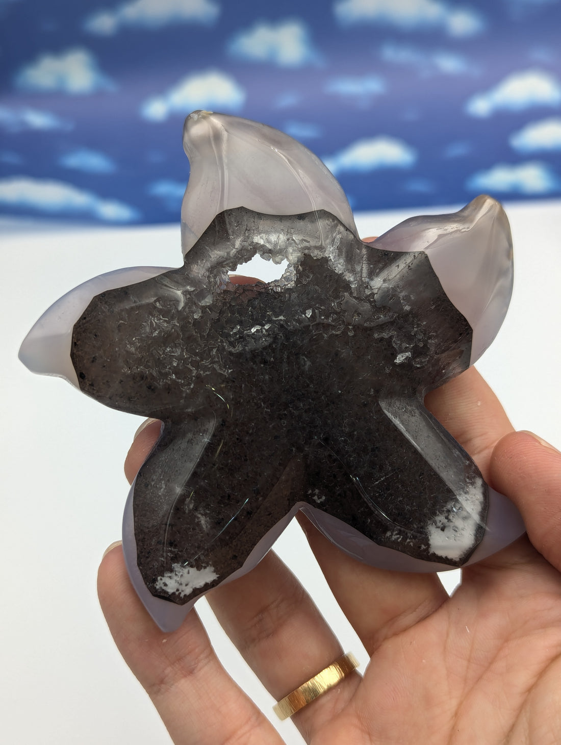 Achat Seestern mit Kristall Druse