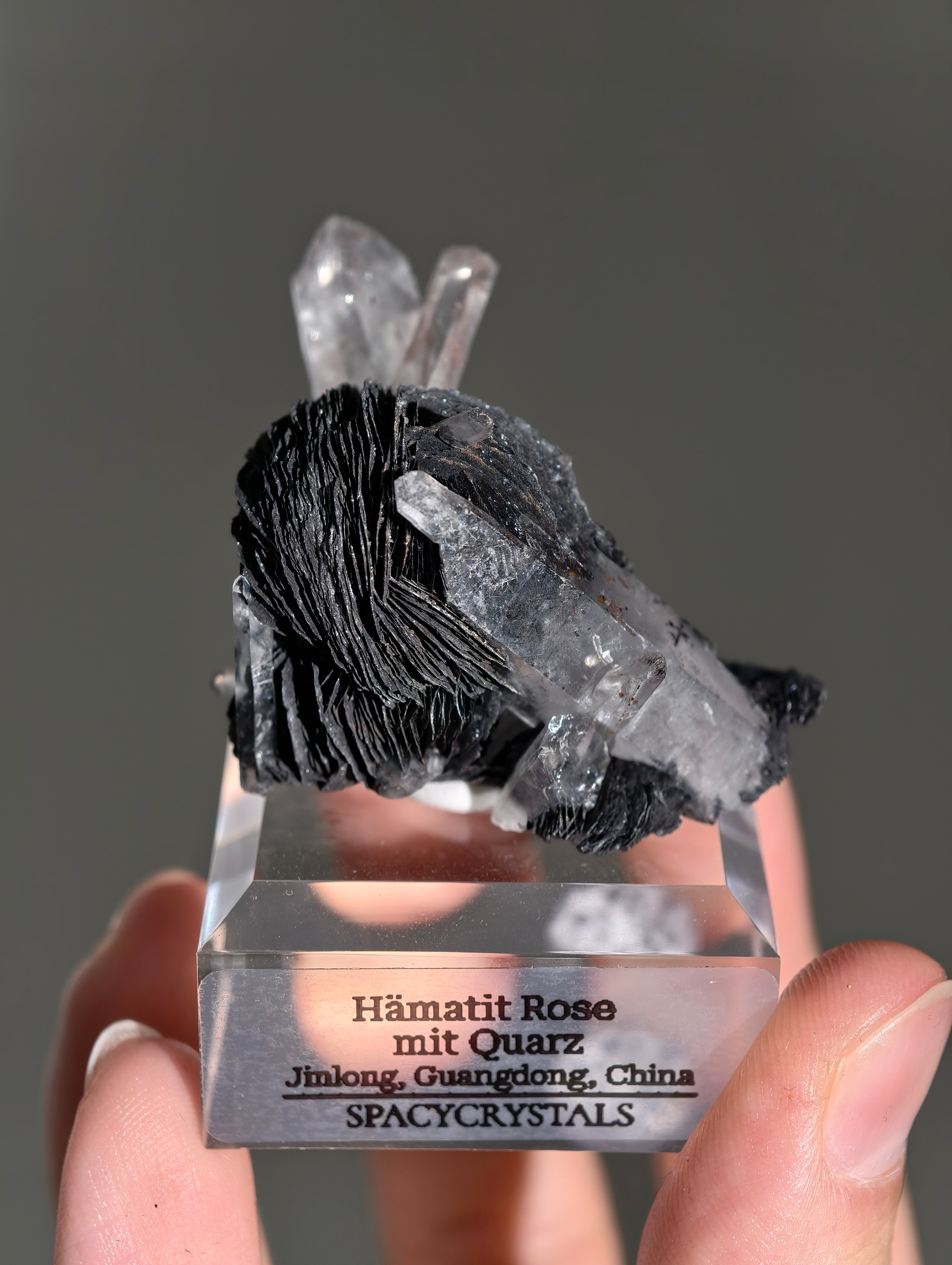 Schwarze Hämatit Rose mit Bergkristall aus Jinlong