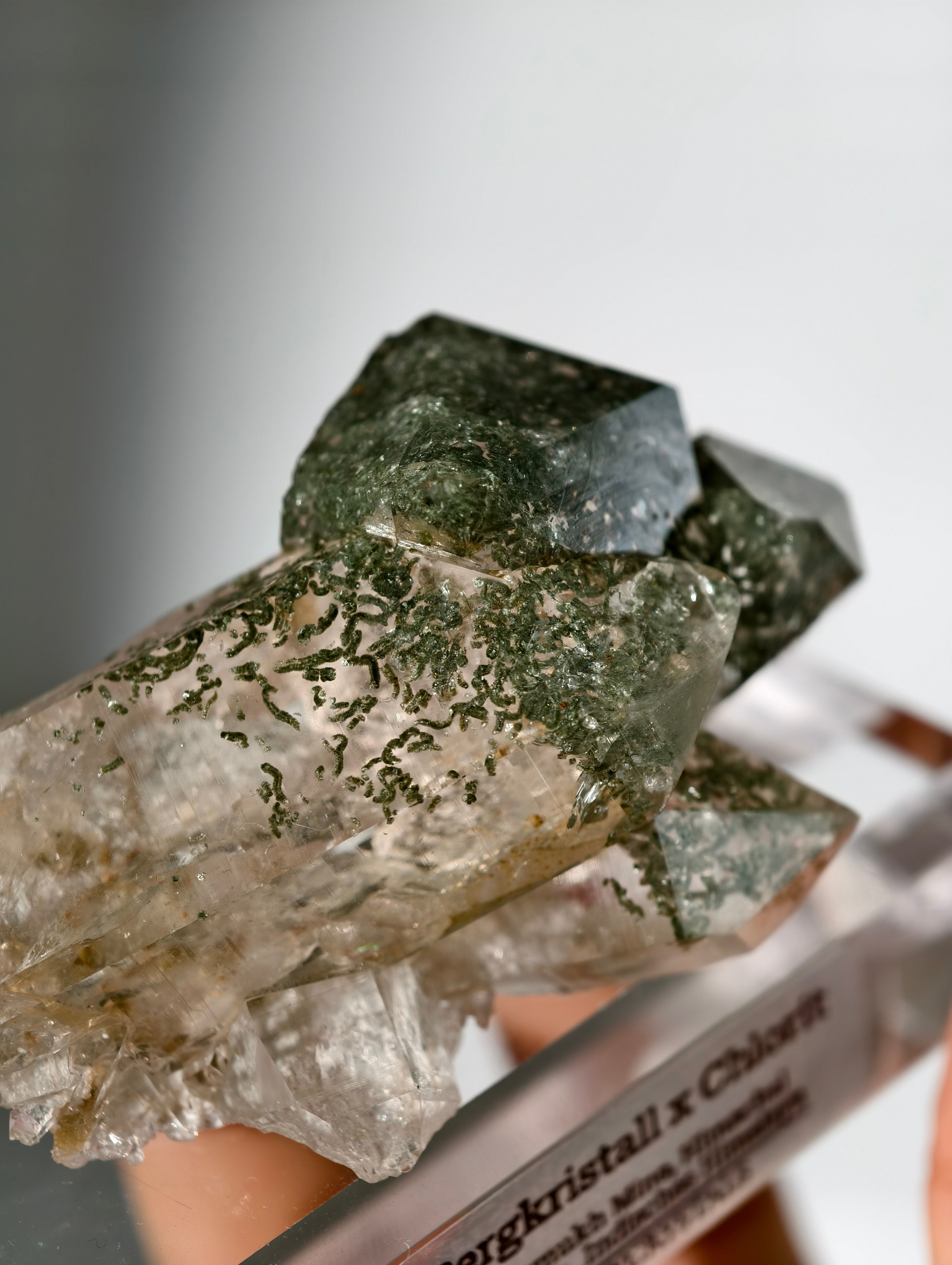 Himalaya Bergkristall Cluster mit Chlorit Einschlüssen