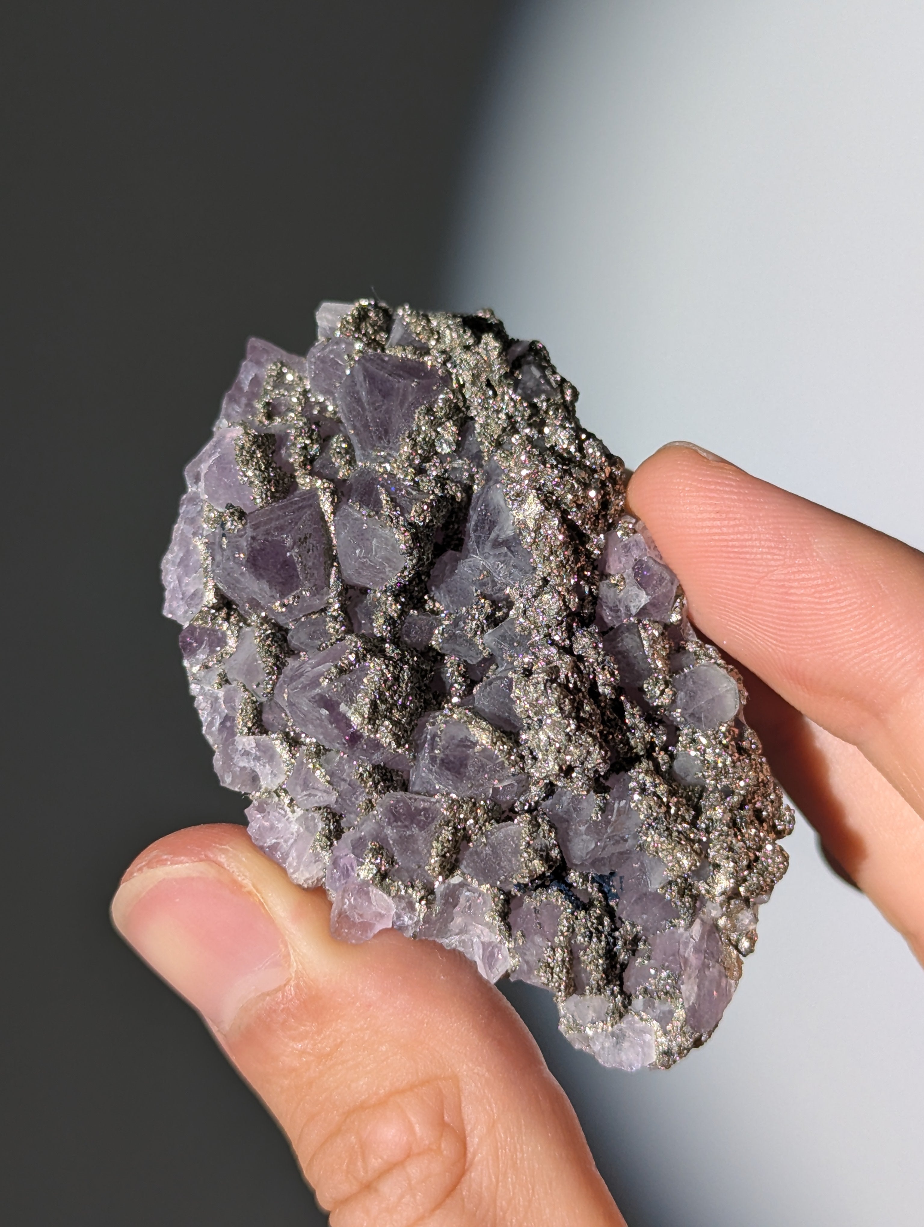 Pyrit auf Amethyst aus Bulgarien ✨