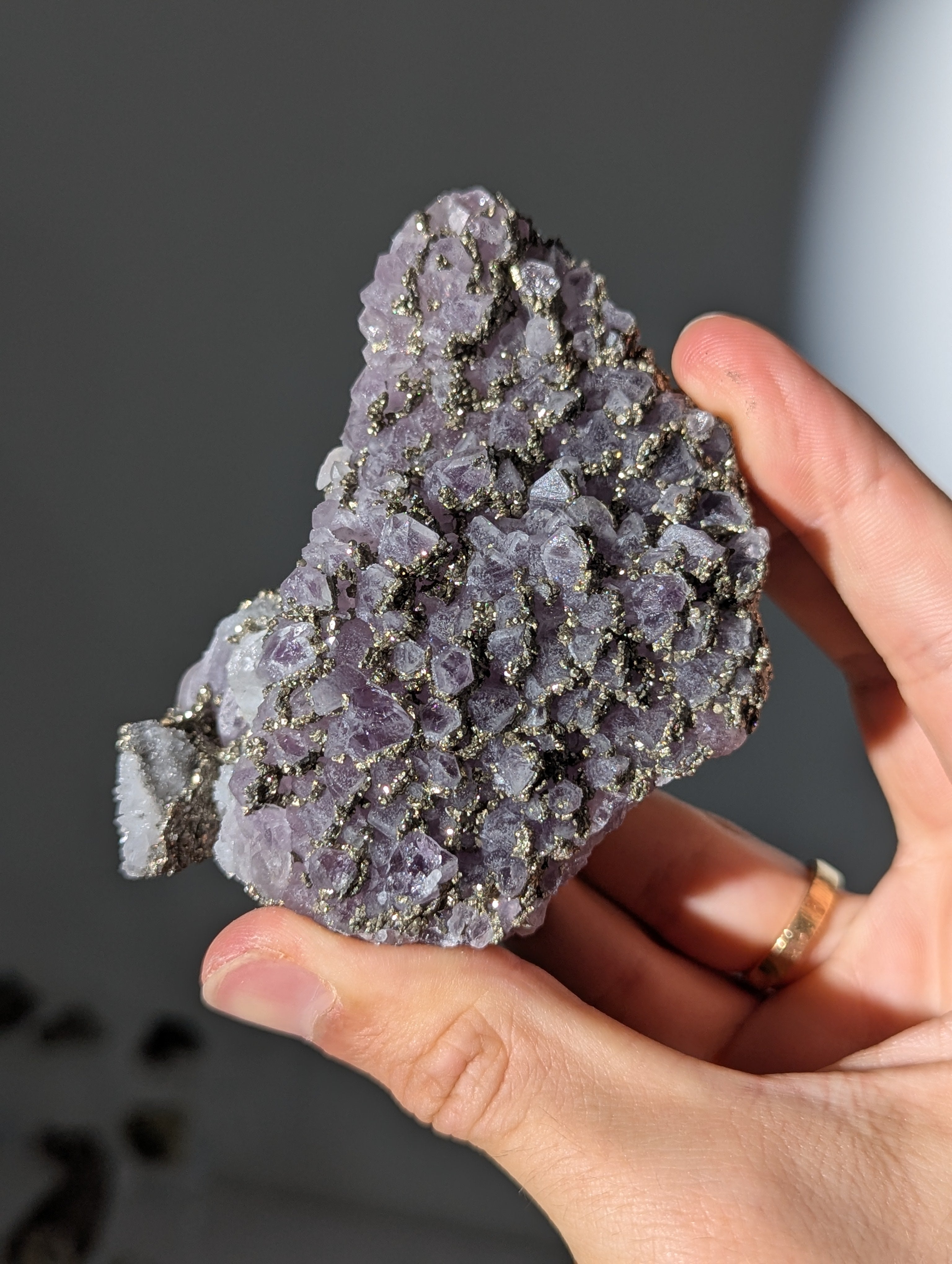 Pyrit auf Amethyst aus Bulgarien ✨