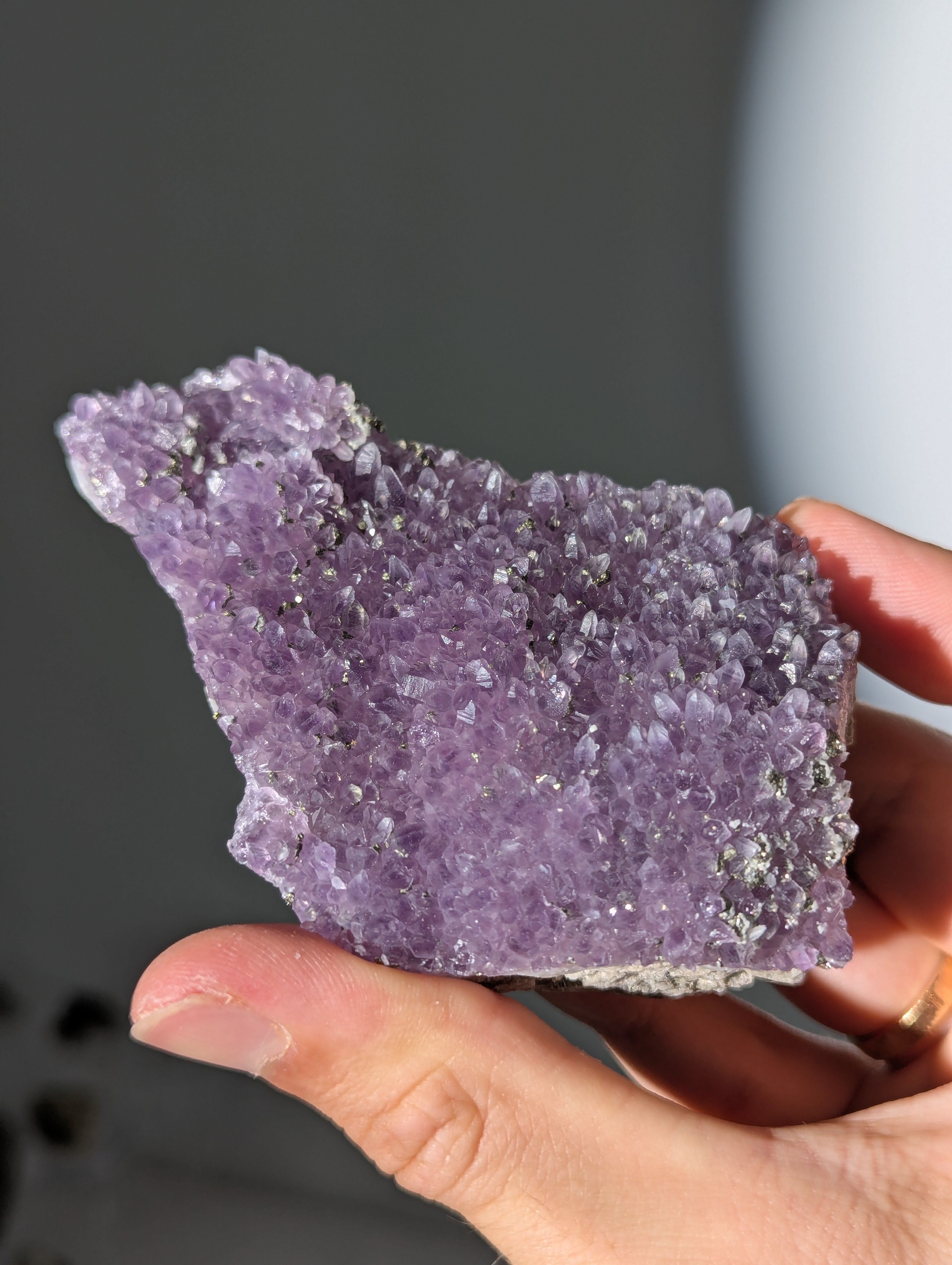Pyrit auf Amethyst aus Bulgarien
