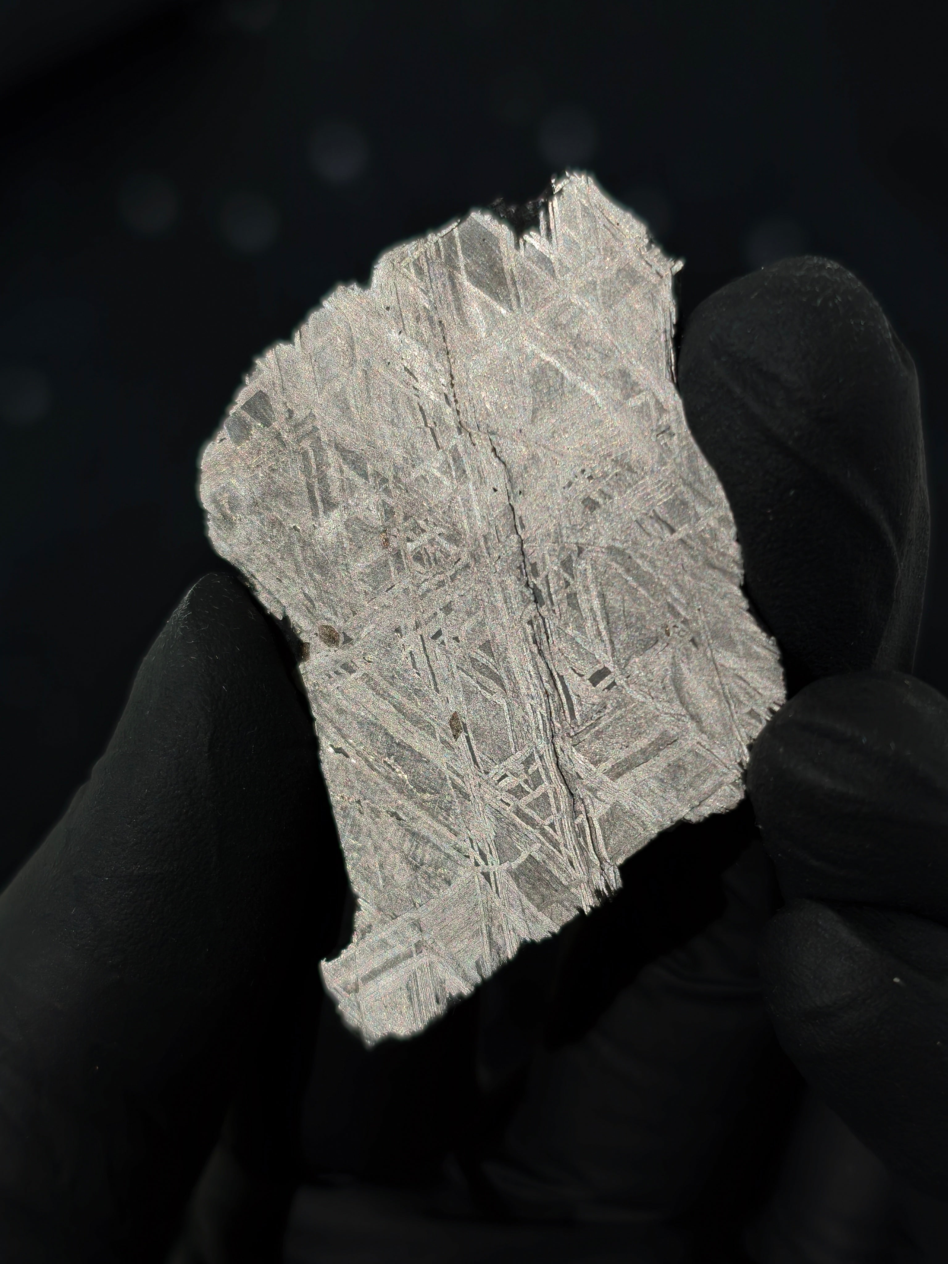 Muonionalusta Meteorit Scheibe 15,1g mit Zertifikat