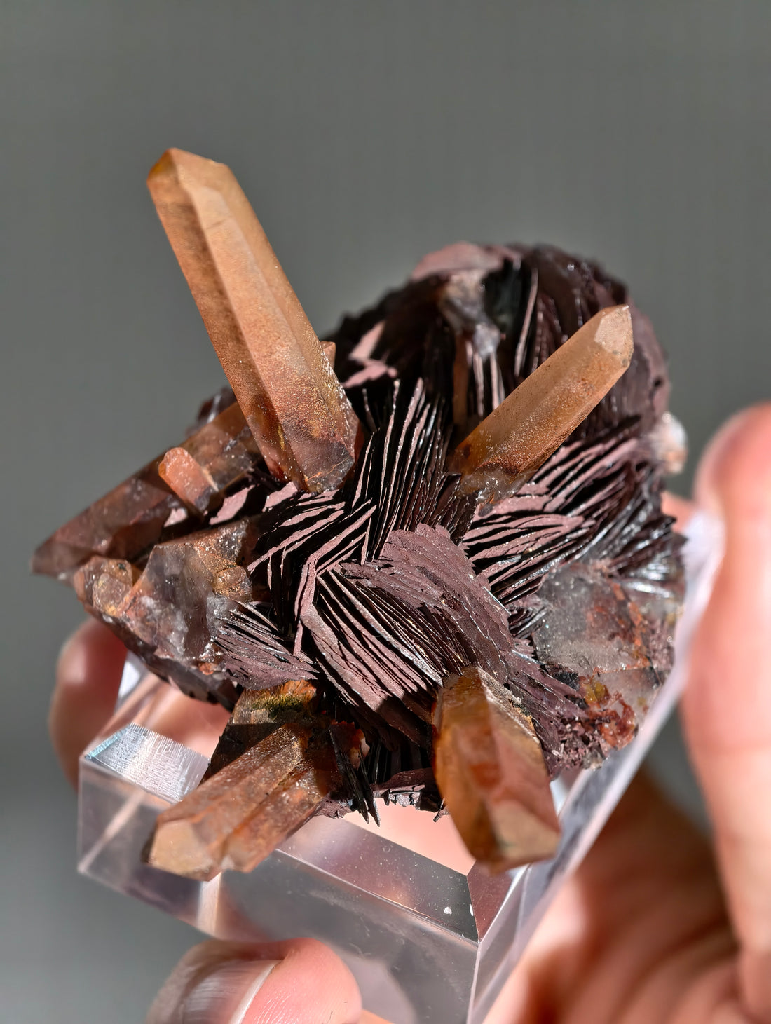 Rote Hämatit Rose mit Hämatitquarz aus Jinlong