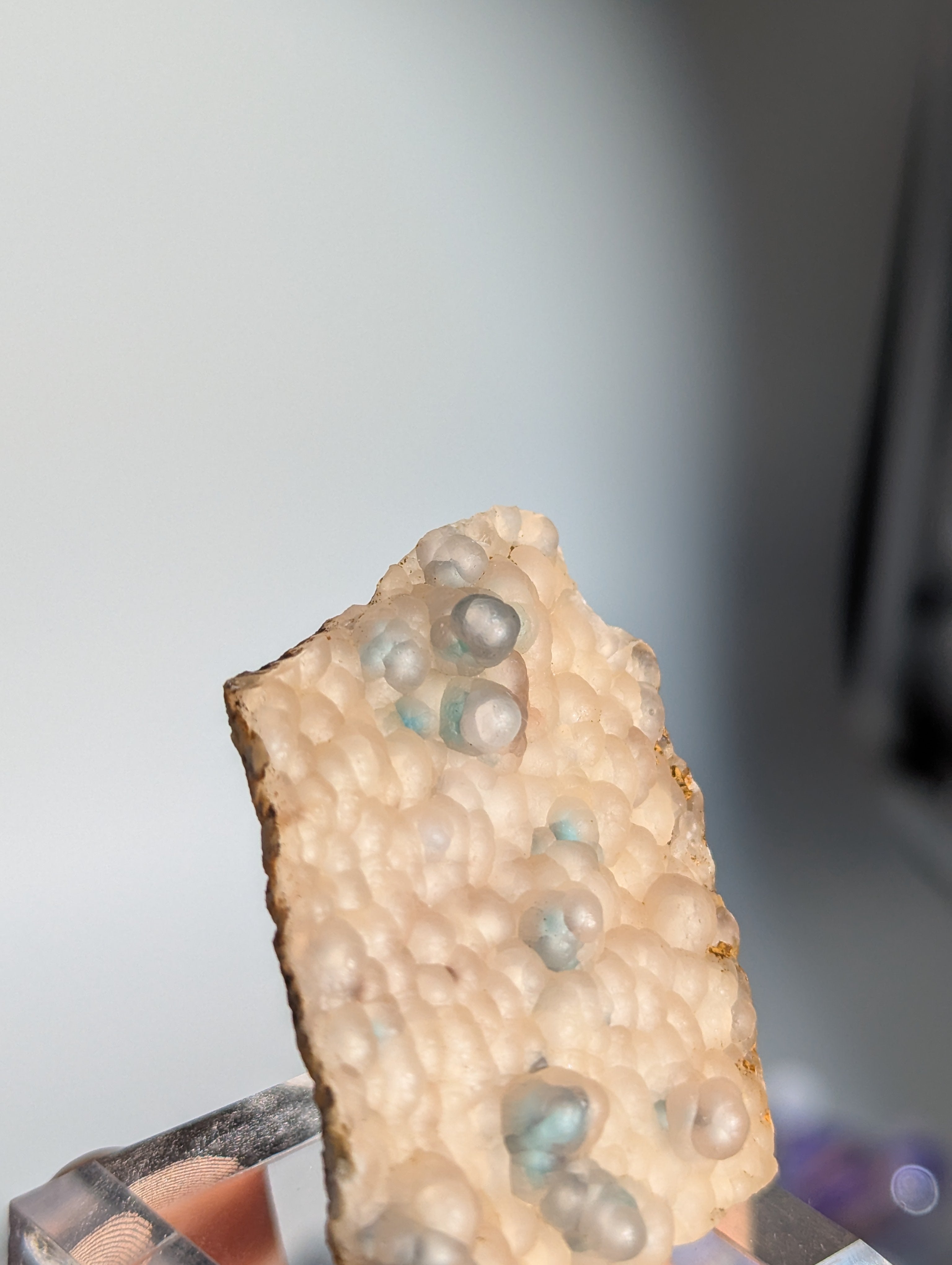 Neufund! Chrysokoll in Chalcedon aus Indonesien