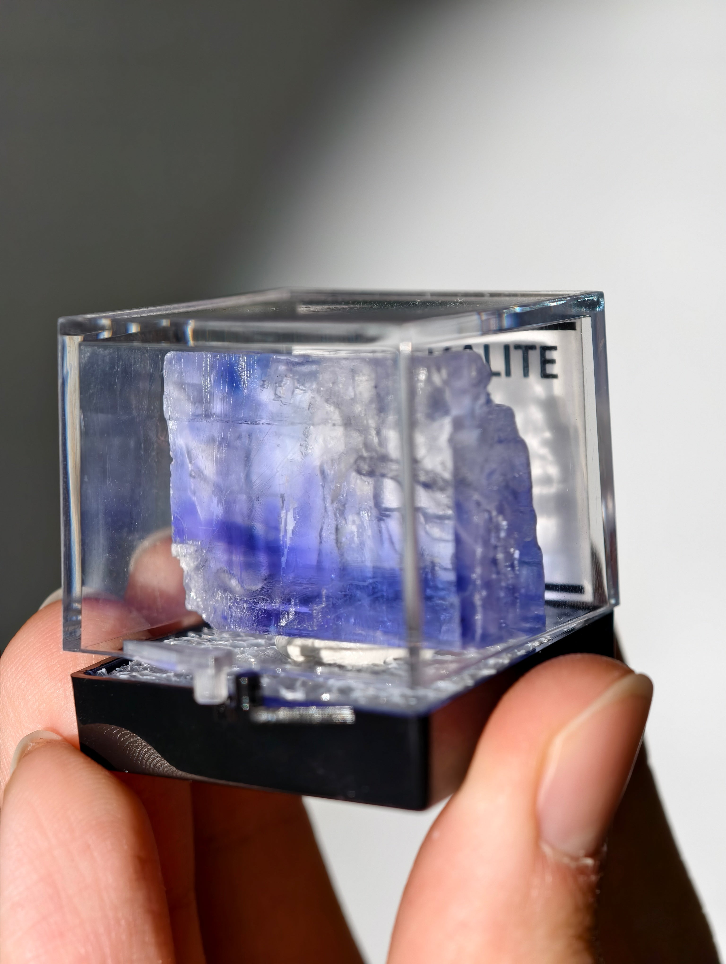 Blauer Halit aus Türkei in Box