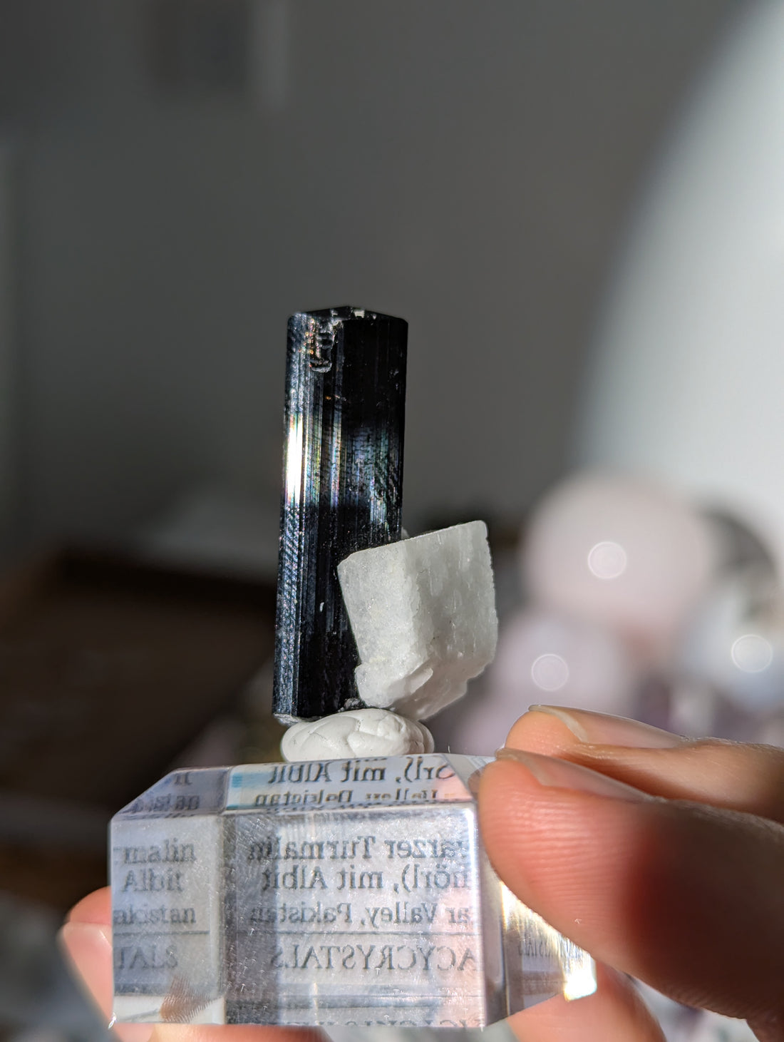 Schwarzer Turmalin (Schörl) mit Albit auf Podest