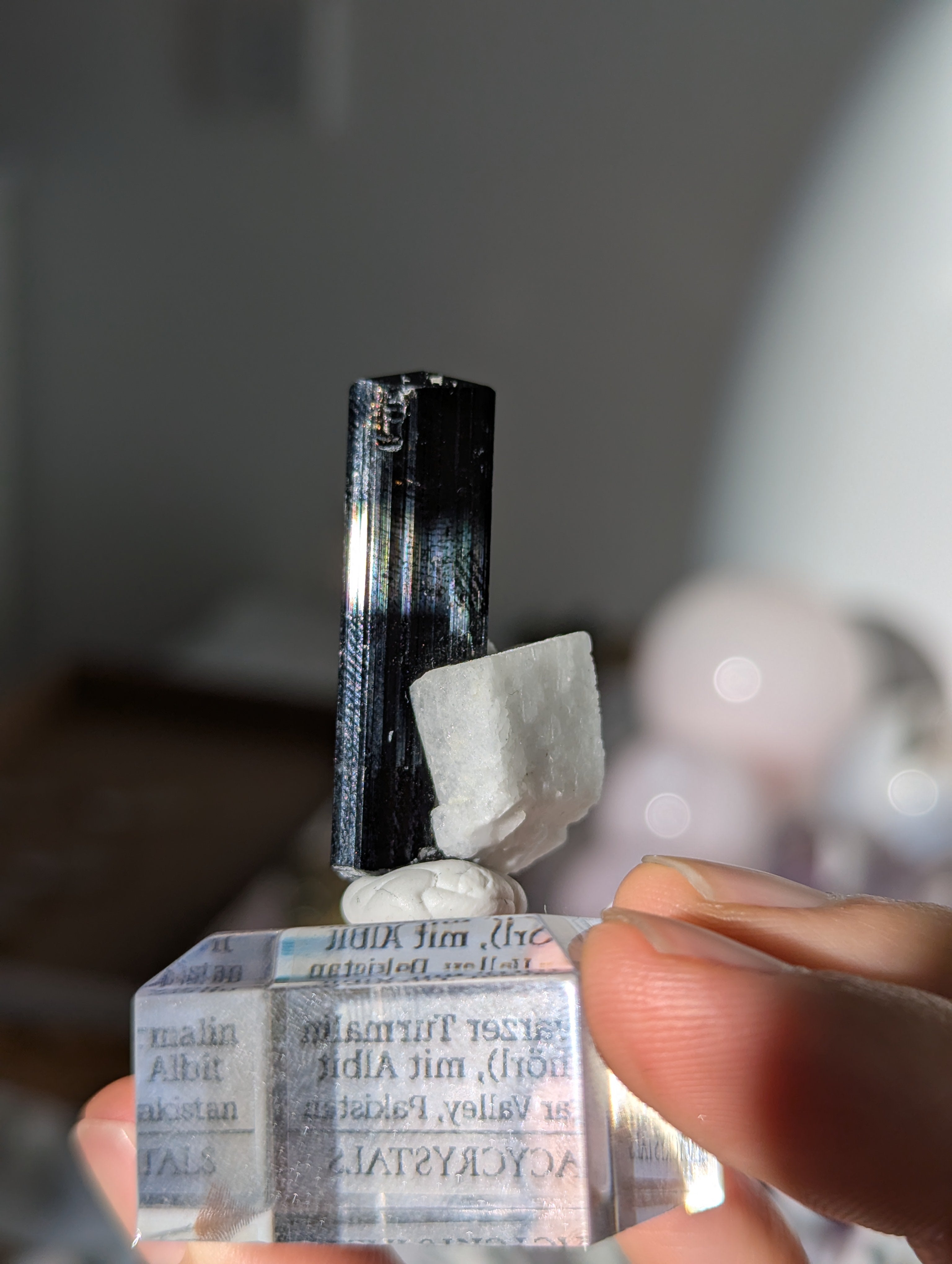 Schwarzer Turmalin (Schörl) mit Albit auf Podest