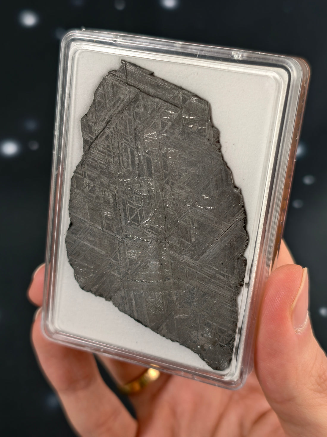 Muonionalusta Meteorit Scheibe 30,1g mit Zertifikat