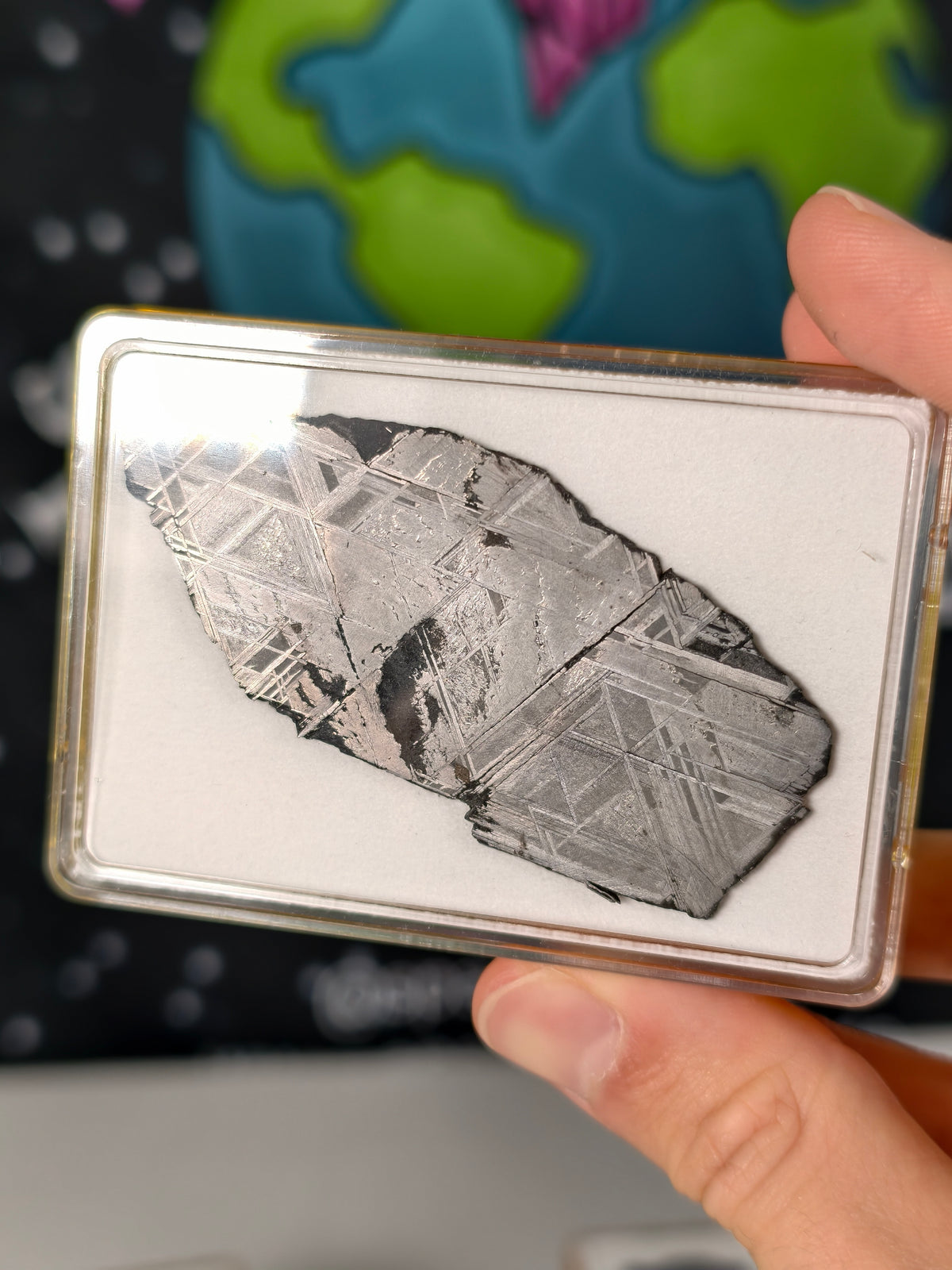 Muonionalusta Meteorit Scheibe 23,65g mit Zertifikat