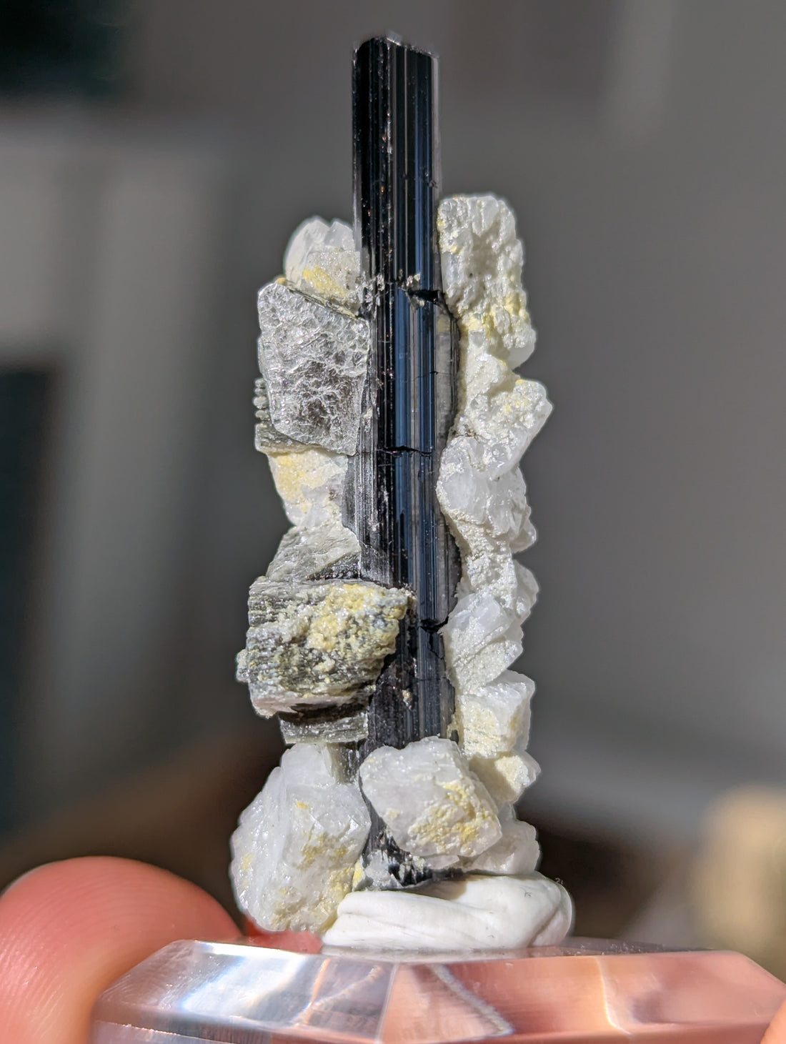 Schwarzer Turmalin (Schörl) mit Albit & Glimmer auf Podest