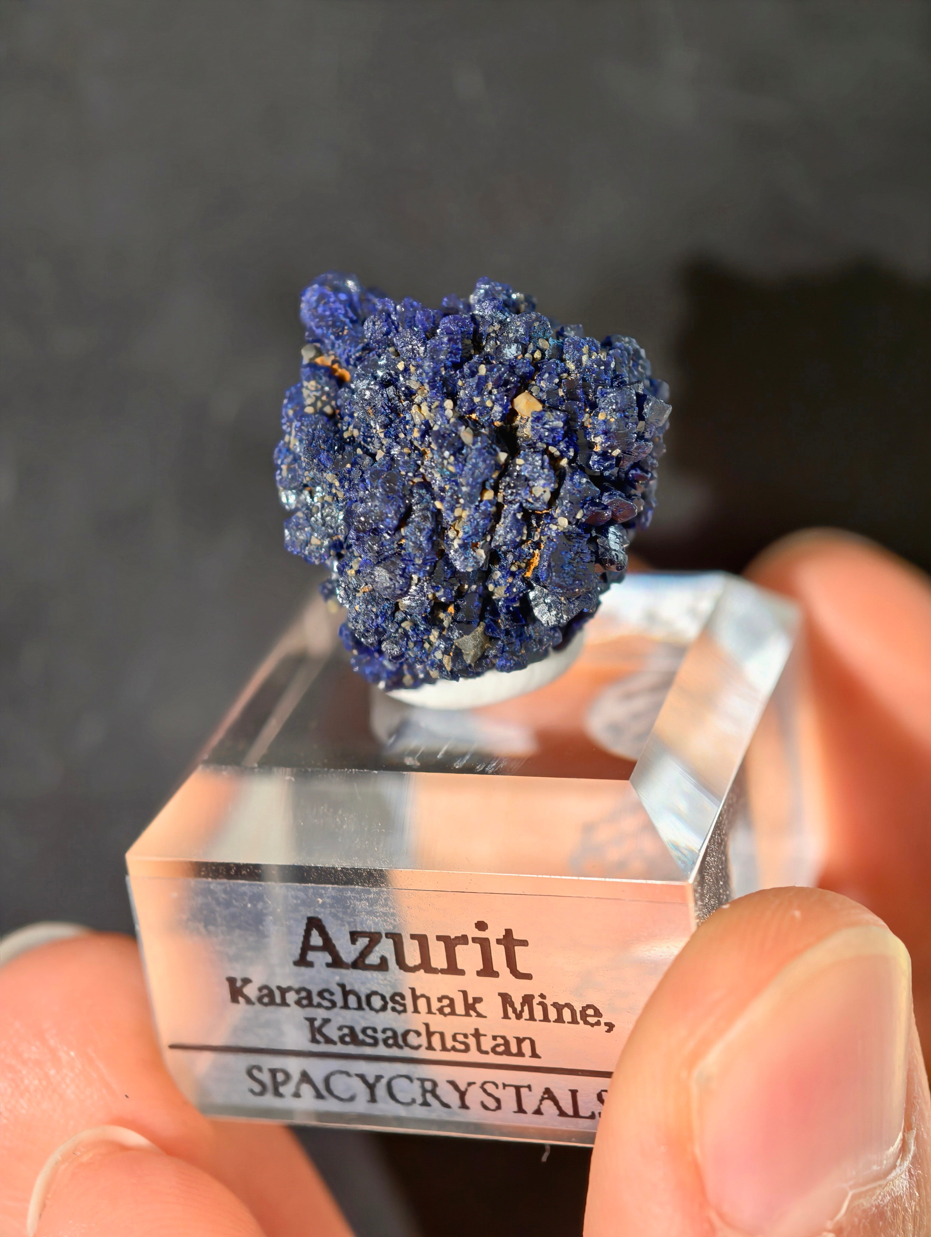 Königsblaue Azurit Kristalle aus Kasachstan
