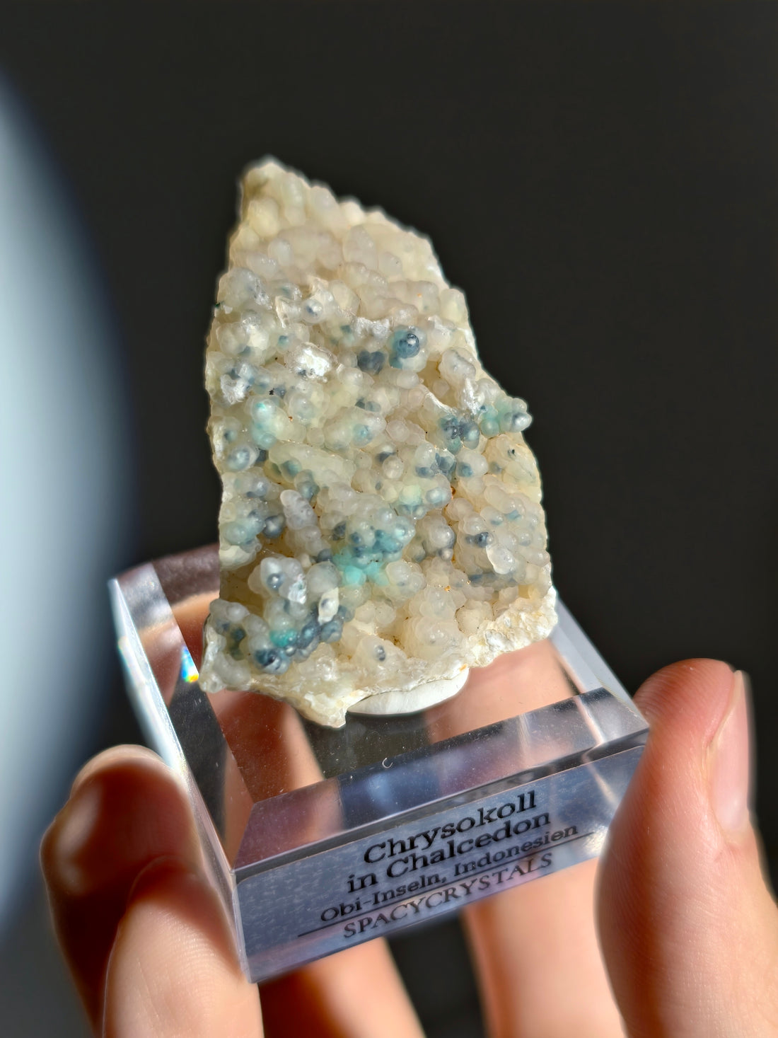 Neufund! Chrysokoll in Chalcedon aus Indonesien