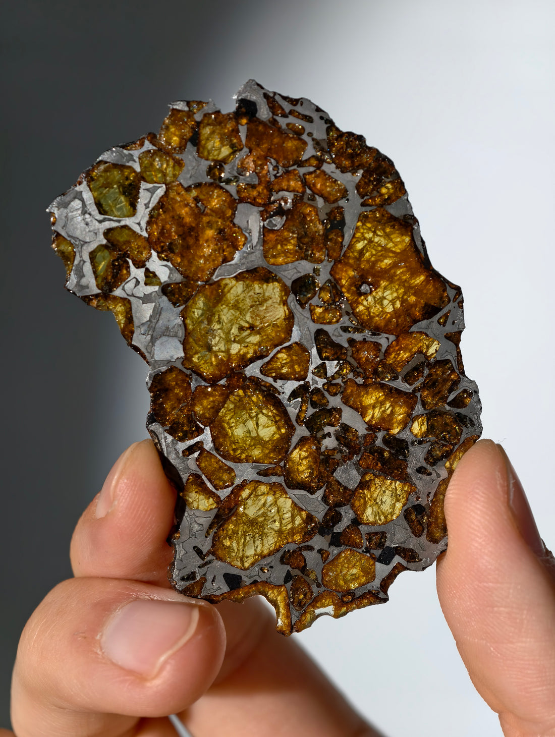 Imilac Pallasit Meteorit Scheibe 20.04g mit Zertifikat