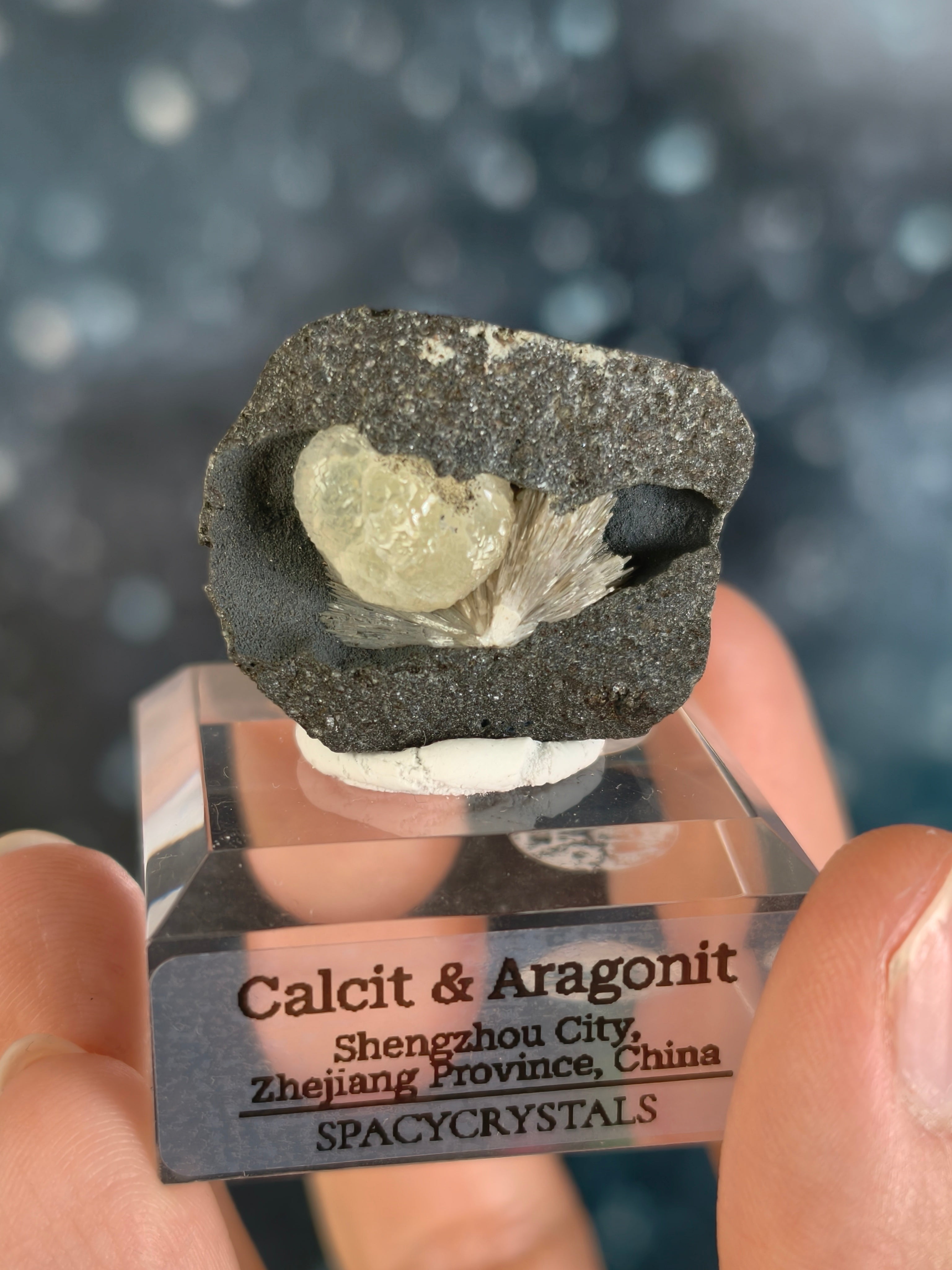 Botryoidaler Calcit mit Aragonit Nadeln auf Basalt - Neuer Fund