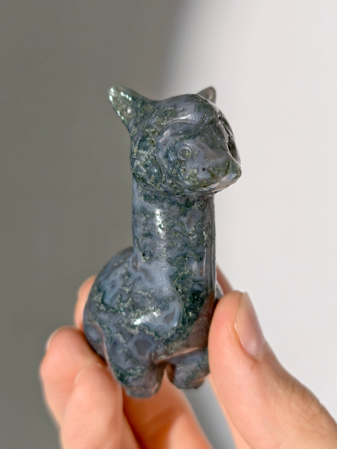 Moosachat Alpaka 🦙