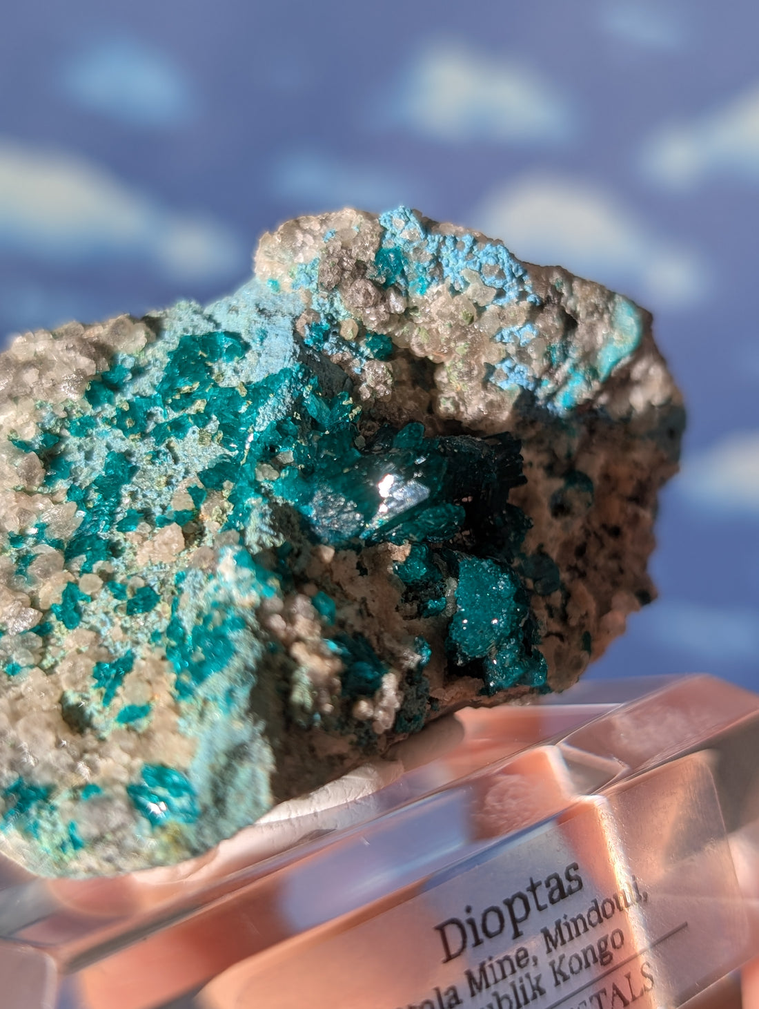 ausgeprägter Dioptas auf Matrix