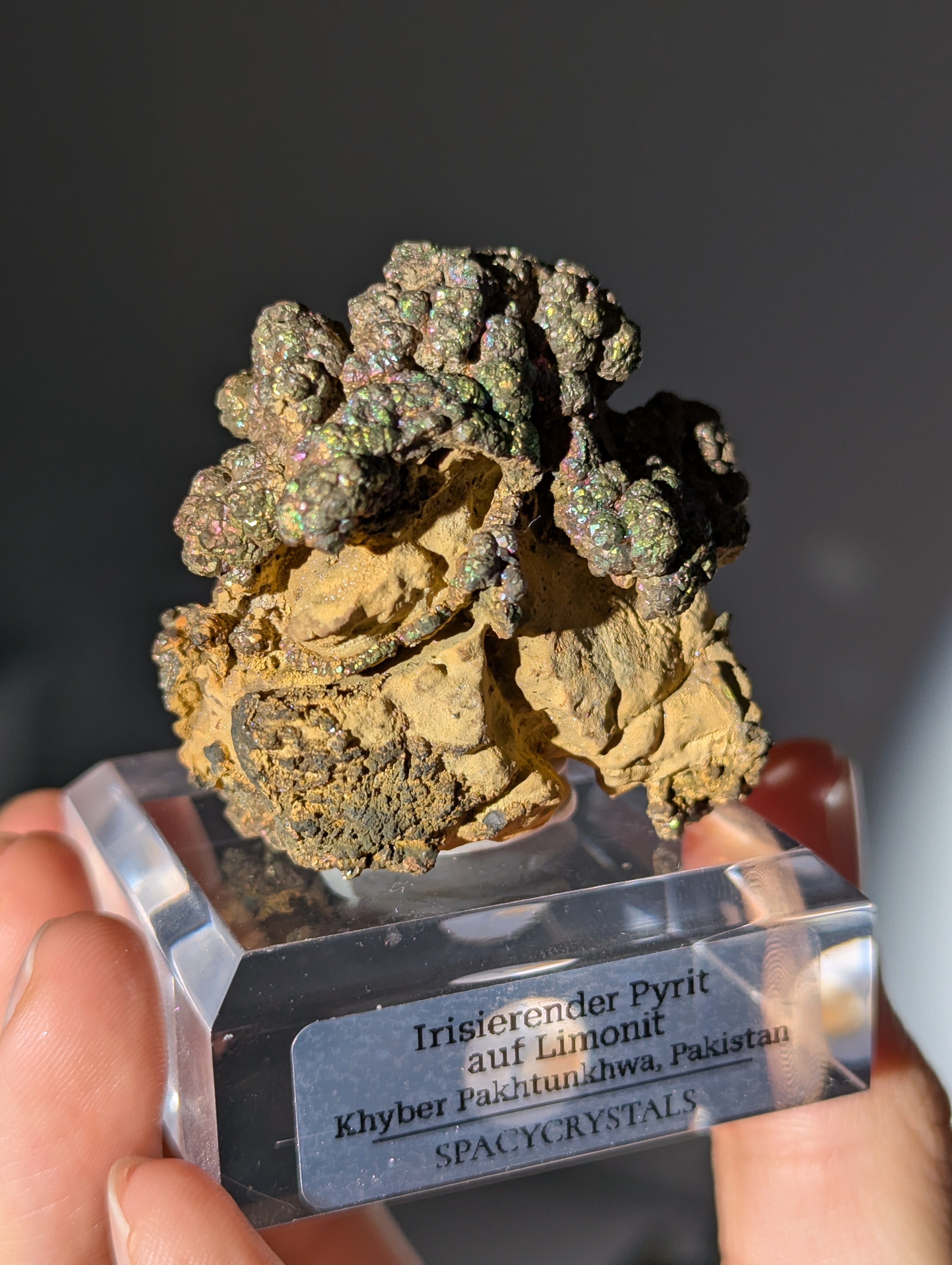 Irisierender Pyrit "Bonsai" auf Limonit