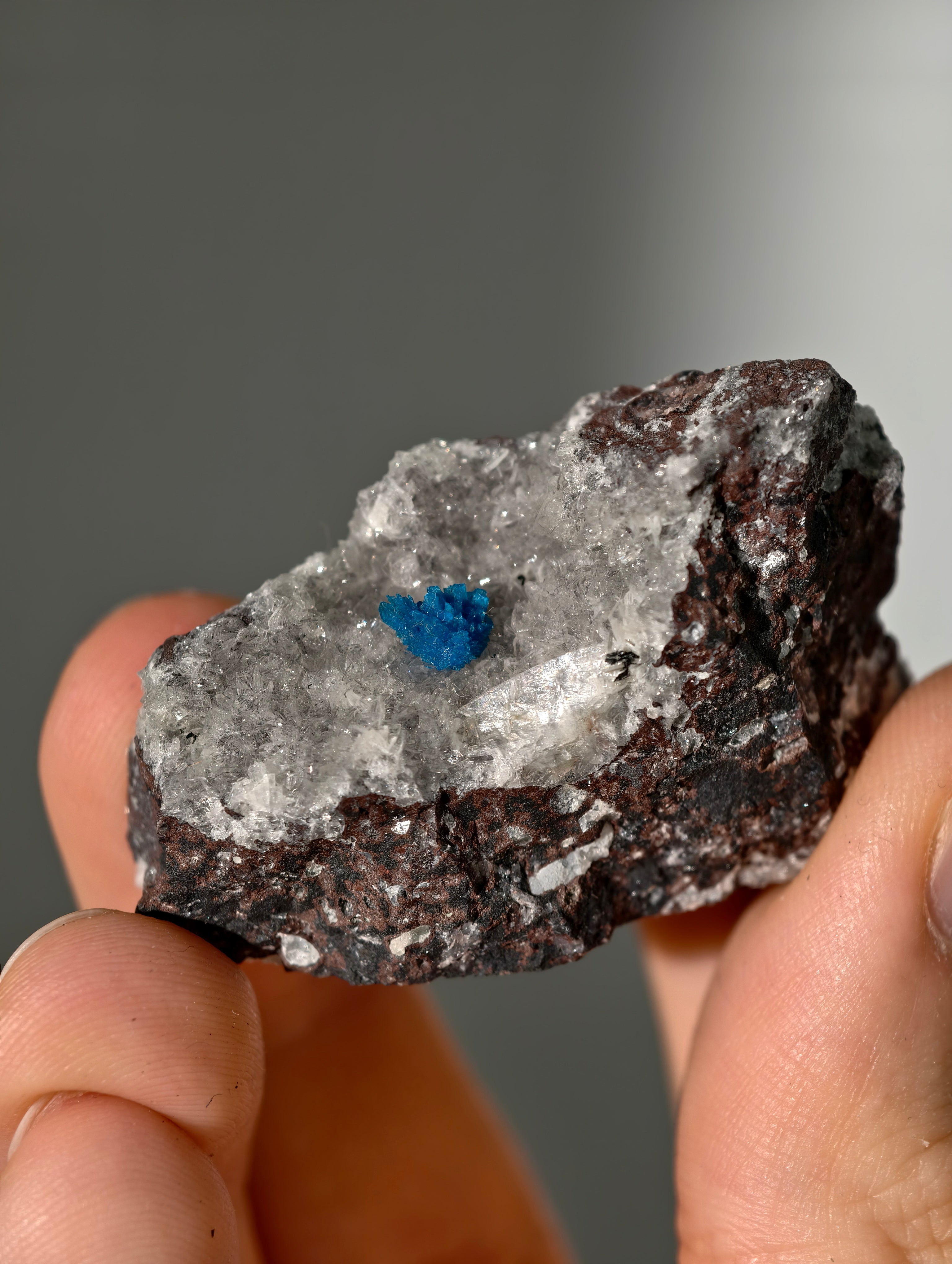 Cavansite aus Indien in Matrix