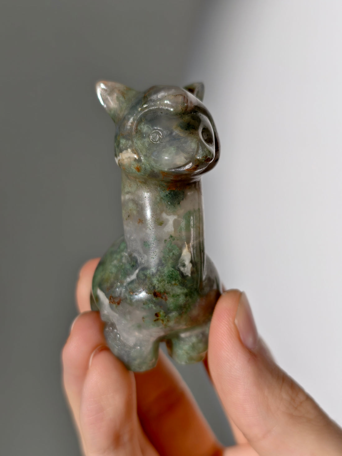 Moosachat Alpaka 🦙