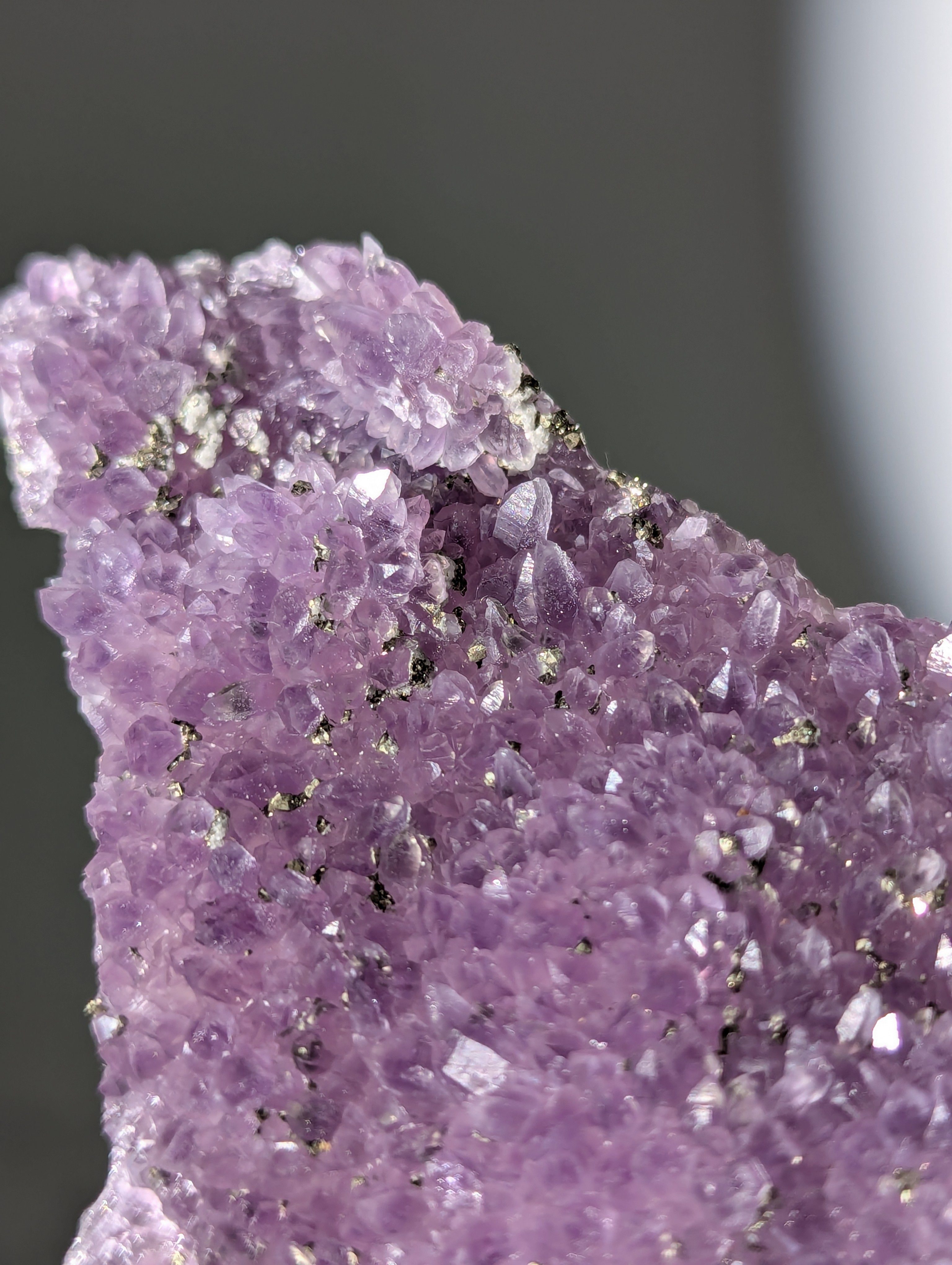 Pyrit auf Amethyst aus Bulgarien