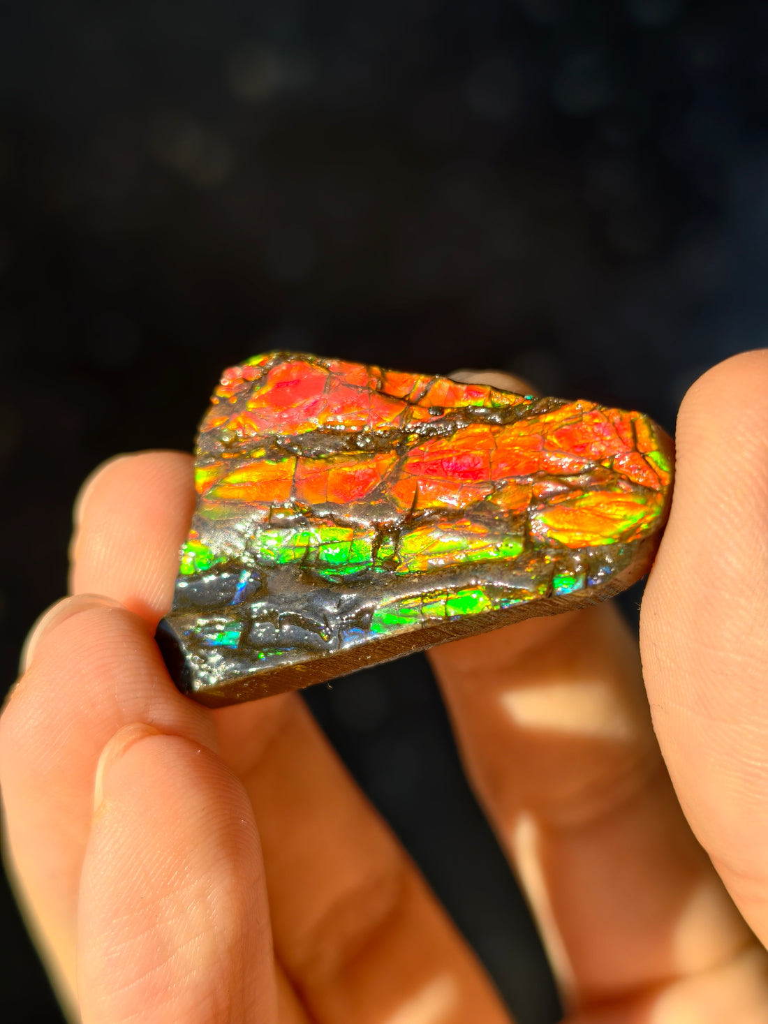 Ammolit Stück aus Kanada