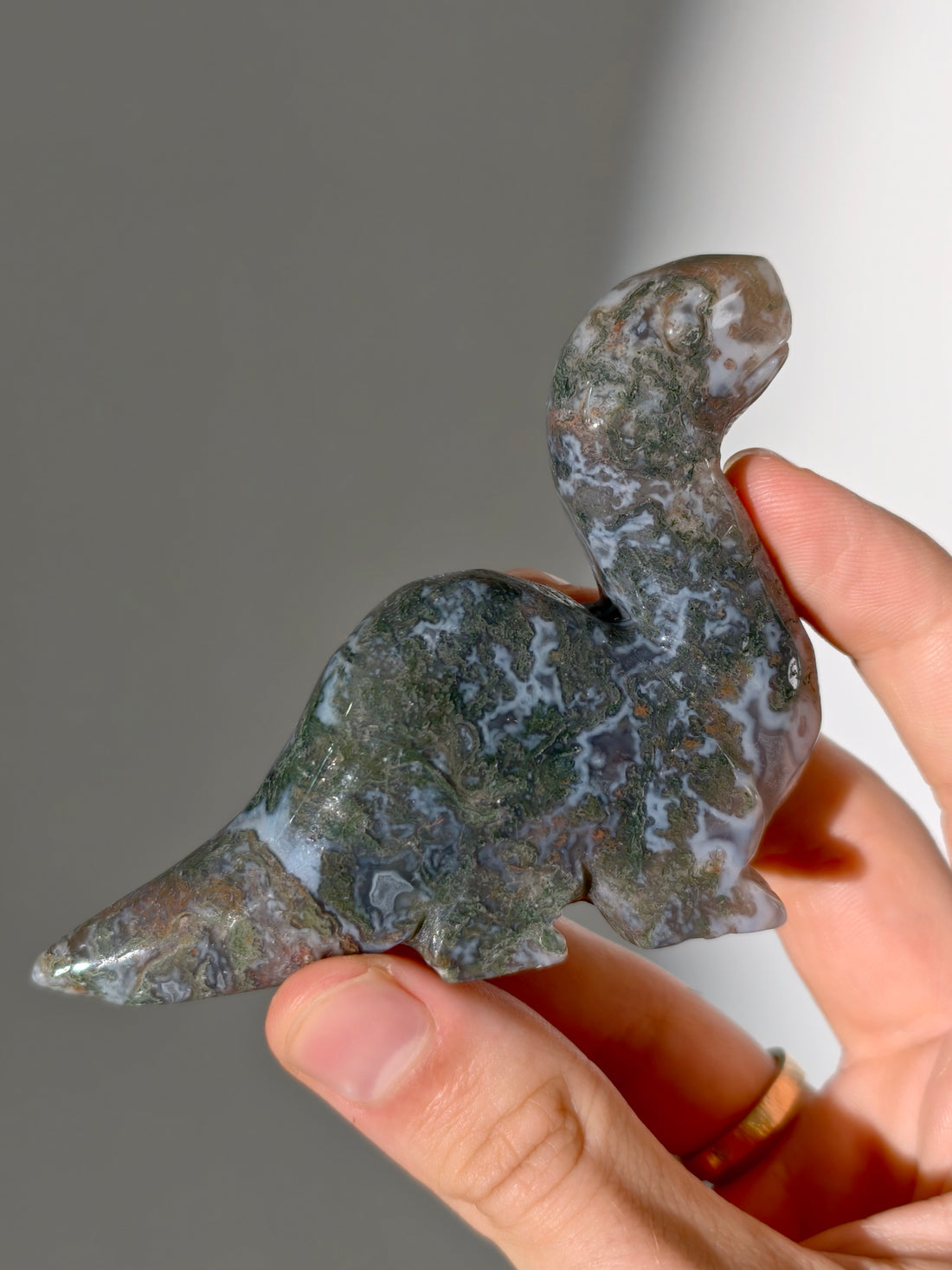 Moosachat Dino 🦕 (Brontosaurus)