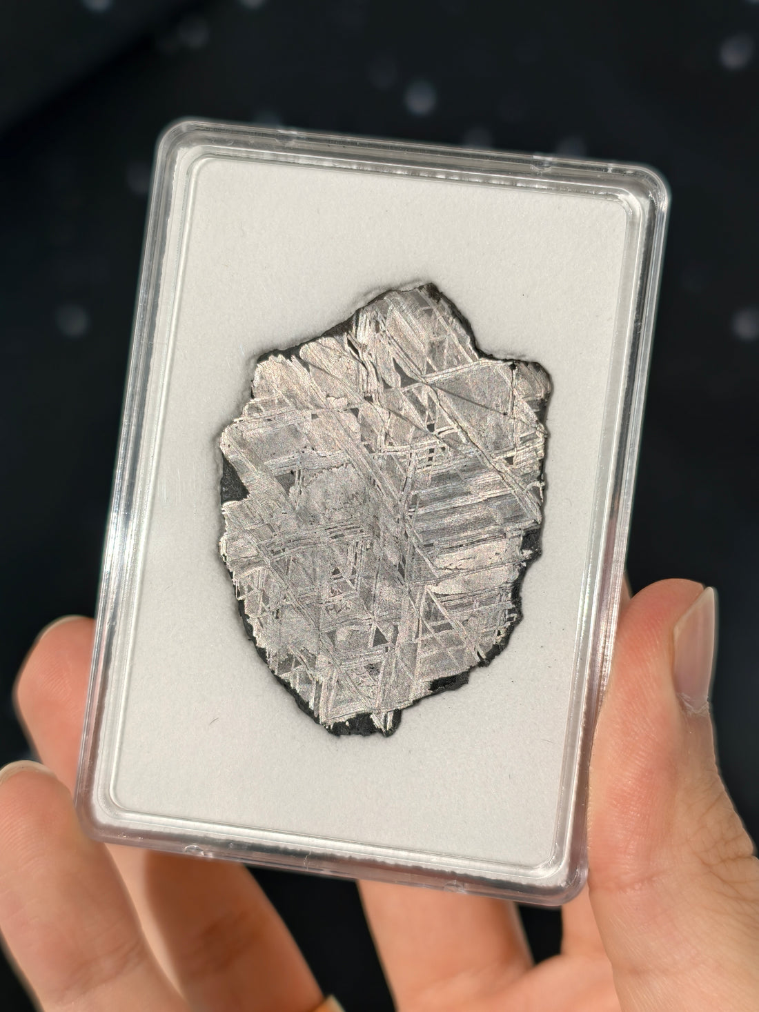 Muonionalusta Meteorit Scheibe 20,0g mit Zertifikat