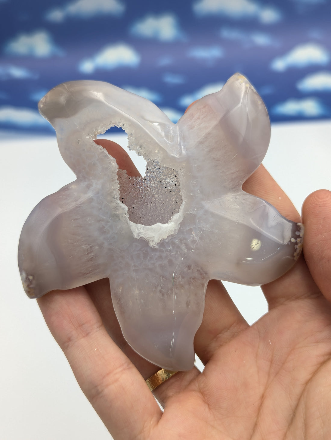 Achat Seestern mit Kristall Druse