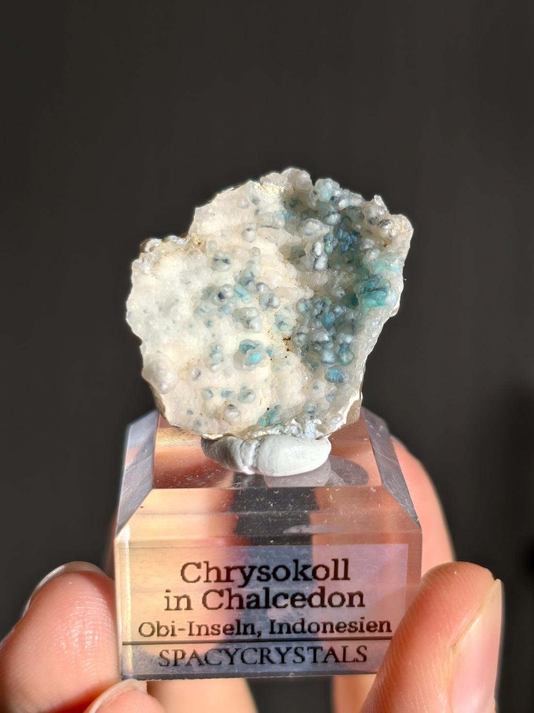 Neufund! Chrysokoll in Chalcedon aus Indonesien